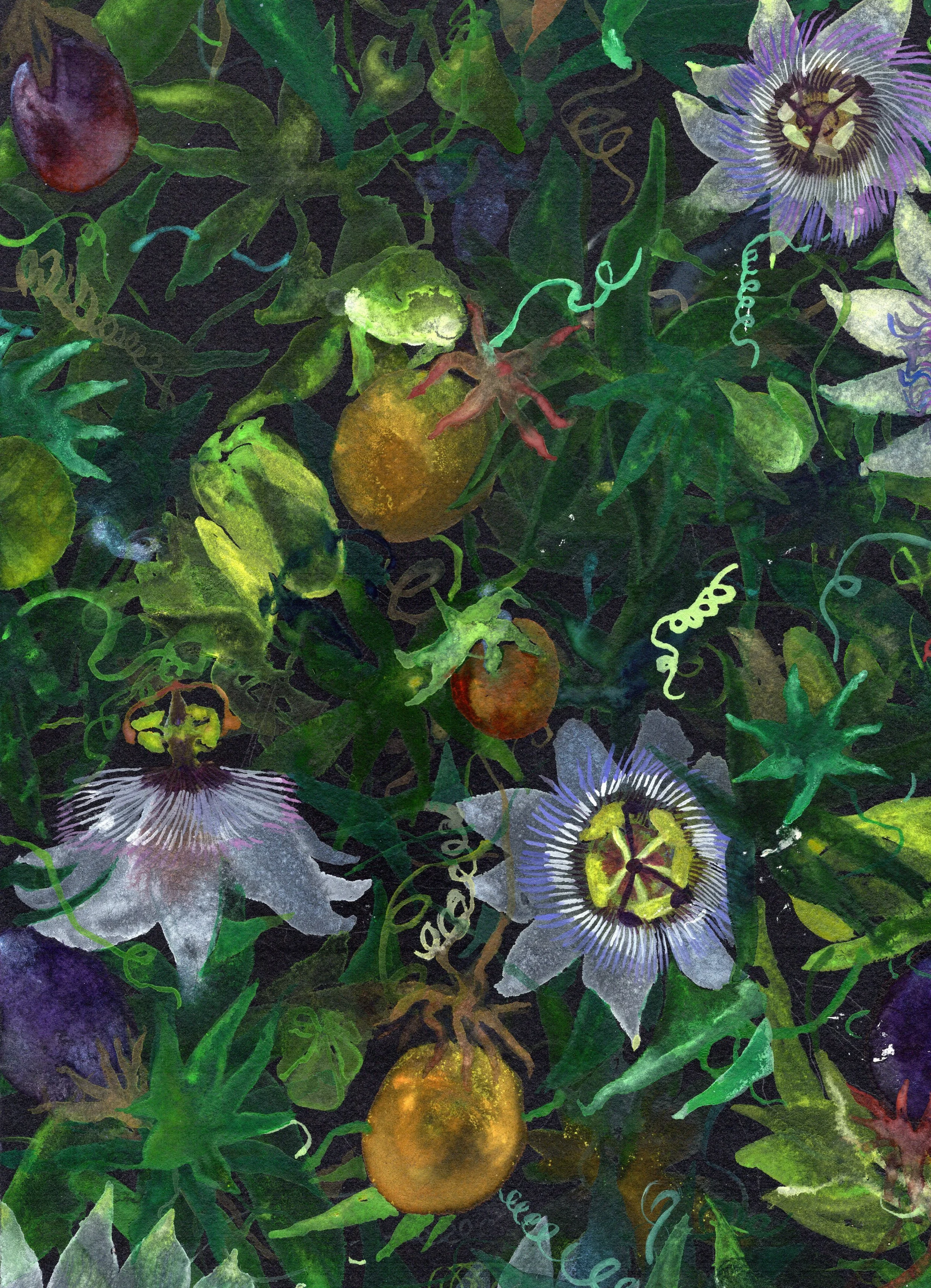 The Passion Fruit Thief