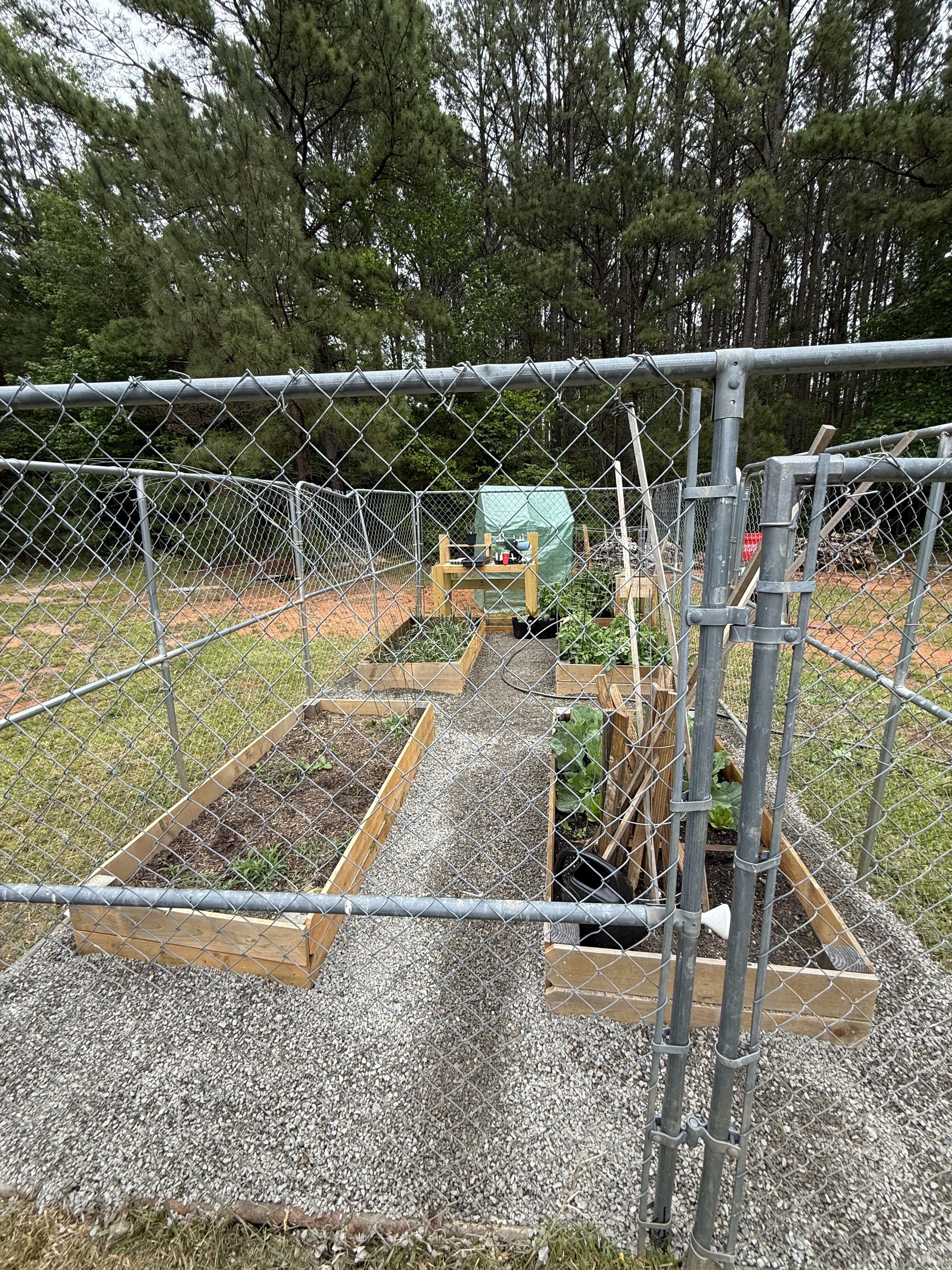 garden after 1.jpg