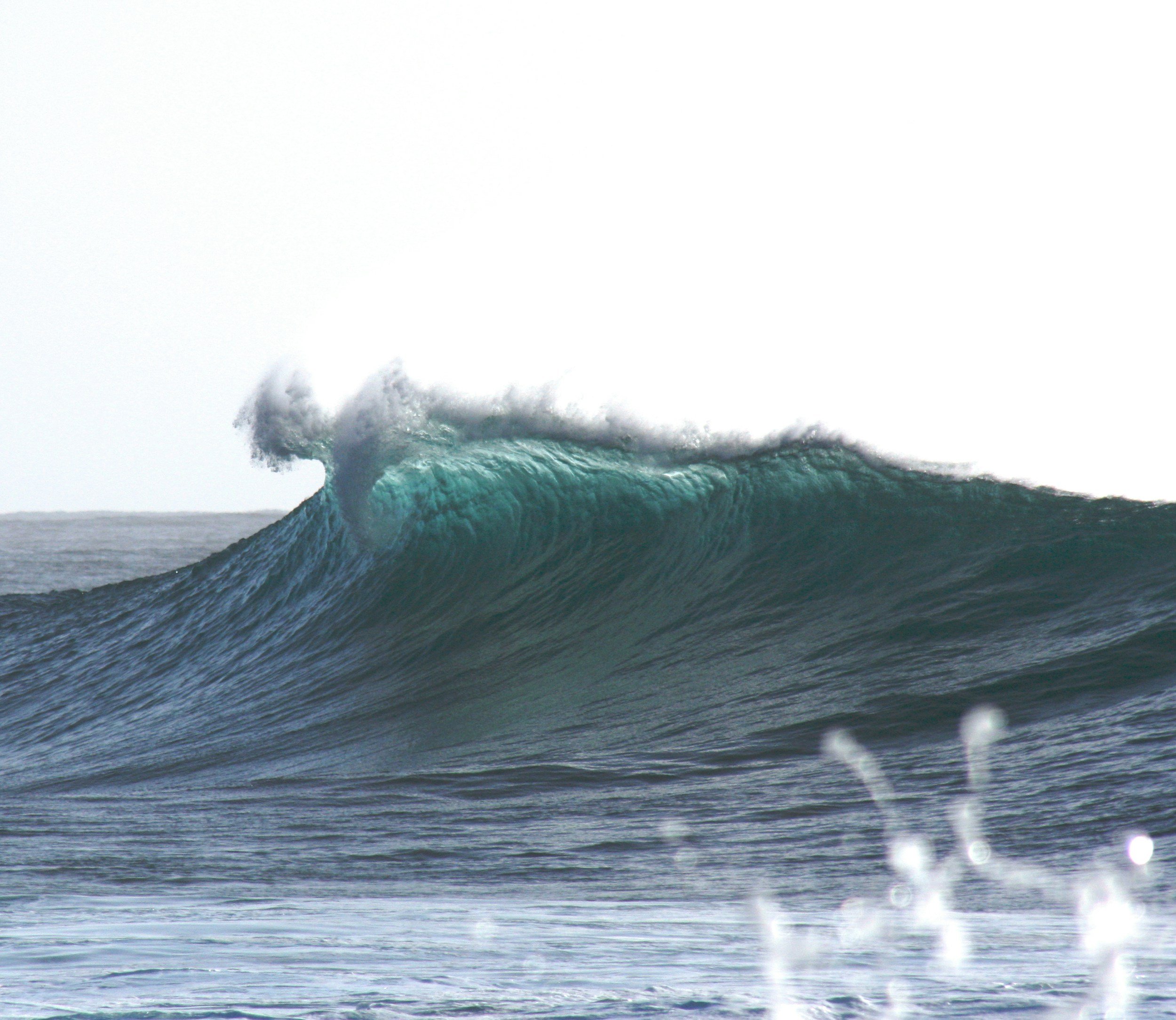 A powerful cresting ocean wave, symbolizing the momentum of beginning therapy and moving forward through life transitions.