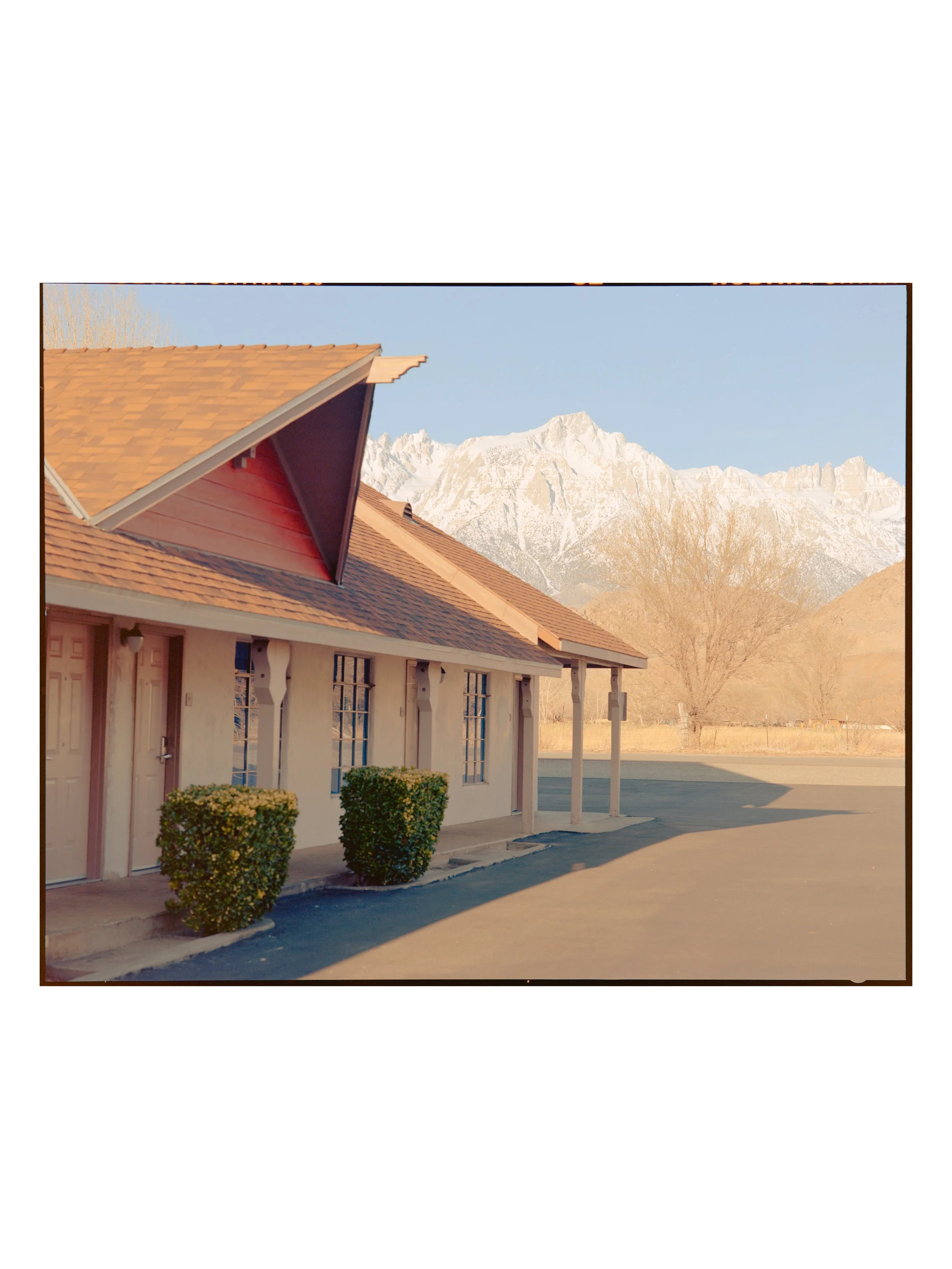 lonepine9.jpg