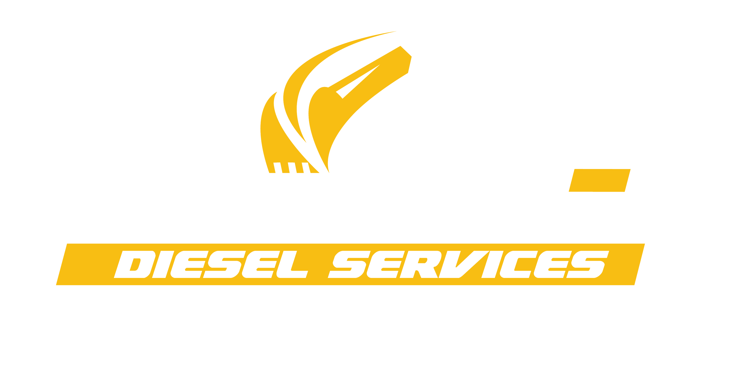 Logo for Pike Diesel Services with stylized yellow and black text and graphics.