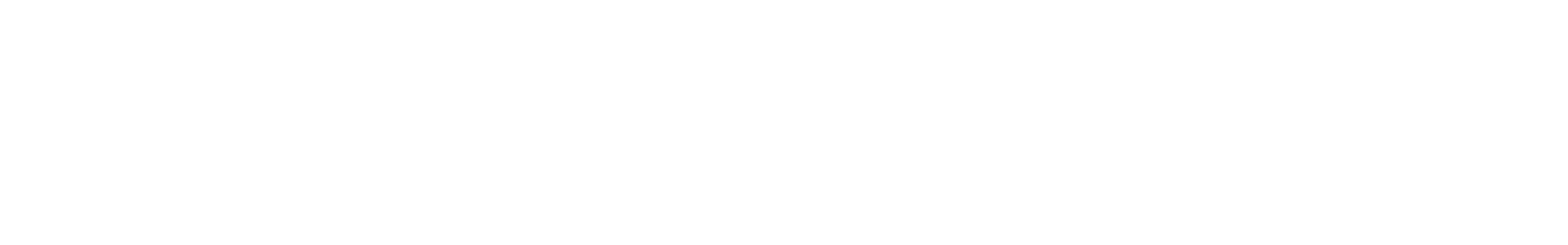 White cursive text reads "Sword Fighter" on a black background.