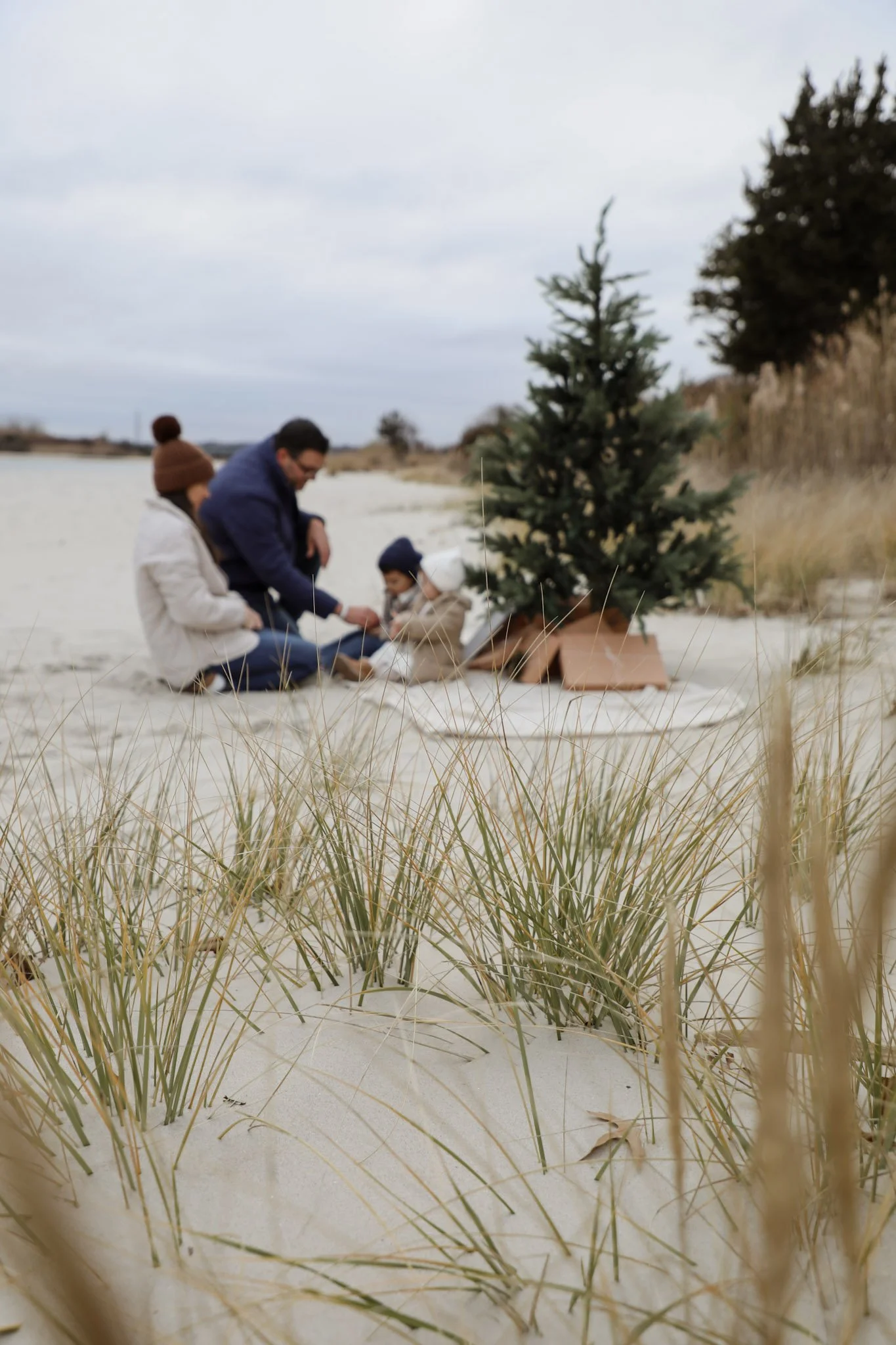 People sitting on the beach near a small Christmas tree, with dry grass in the foreground and cloudy sky overhead.