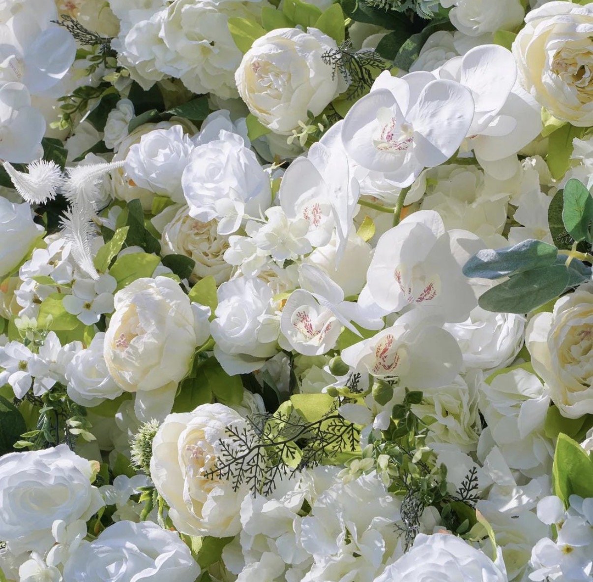 White Close Up.jpg