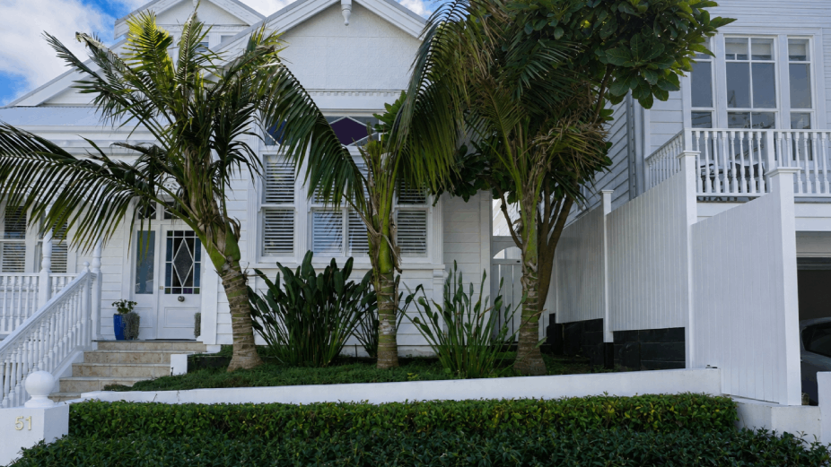 How much does house painting cost in Auckland? 
