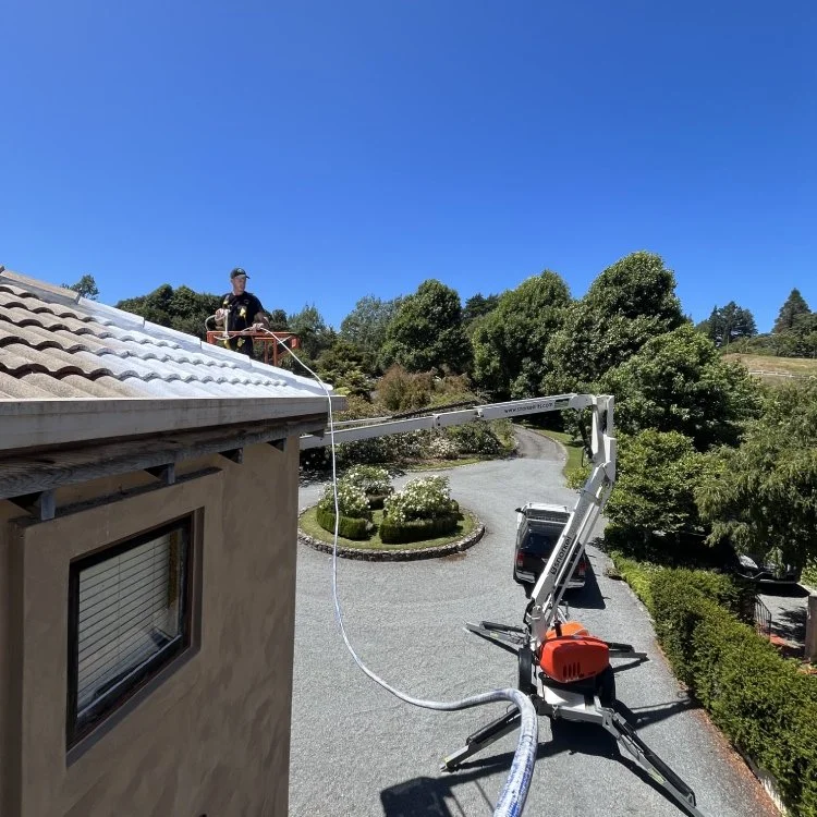Auckland roof painters. safe height access