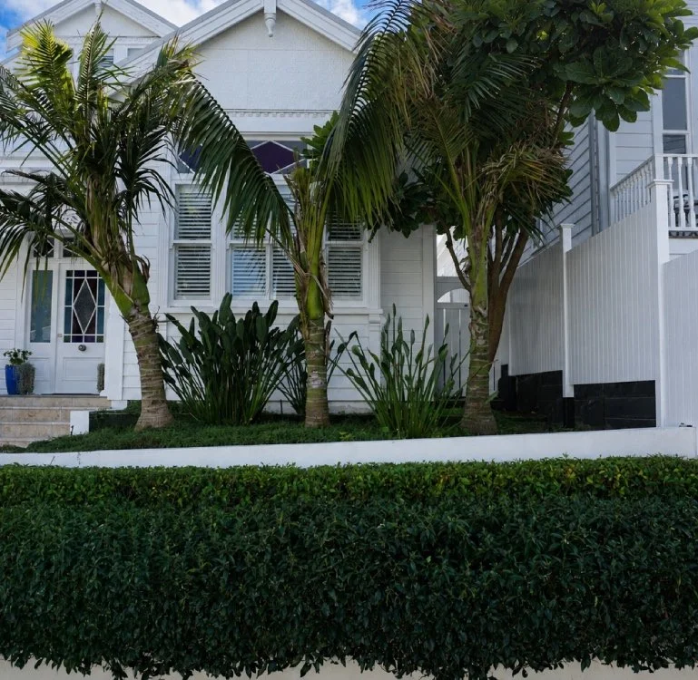 summer street, Ponsonby. exterior painting