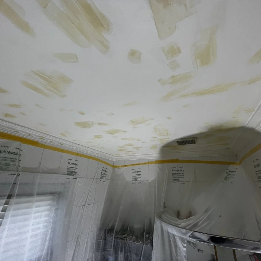 Glen Eden - Bathroom Ceiling Prep