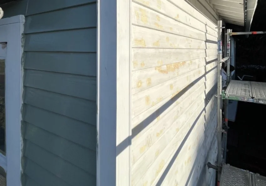 south auckland painter
