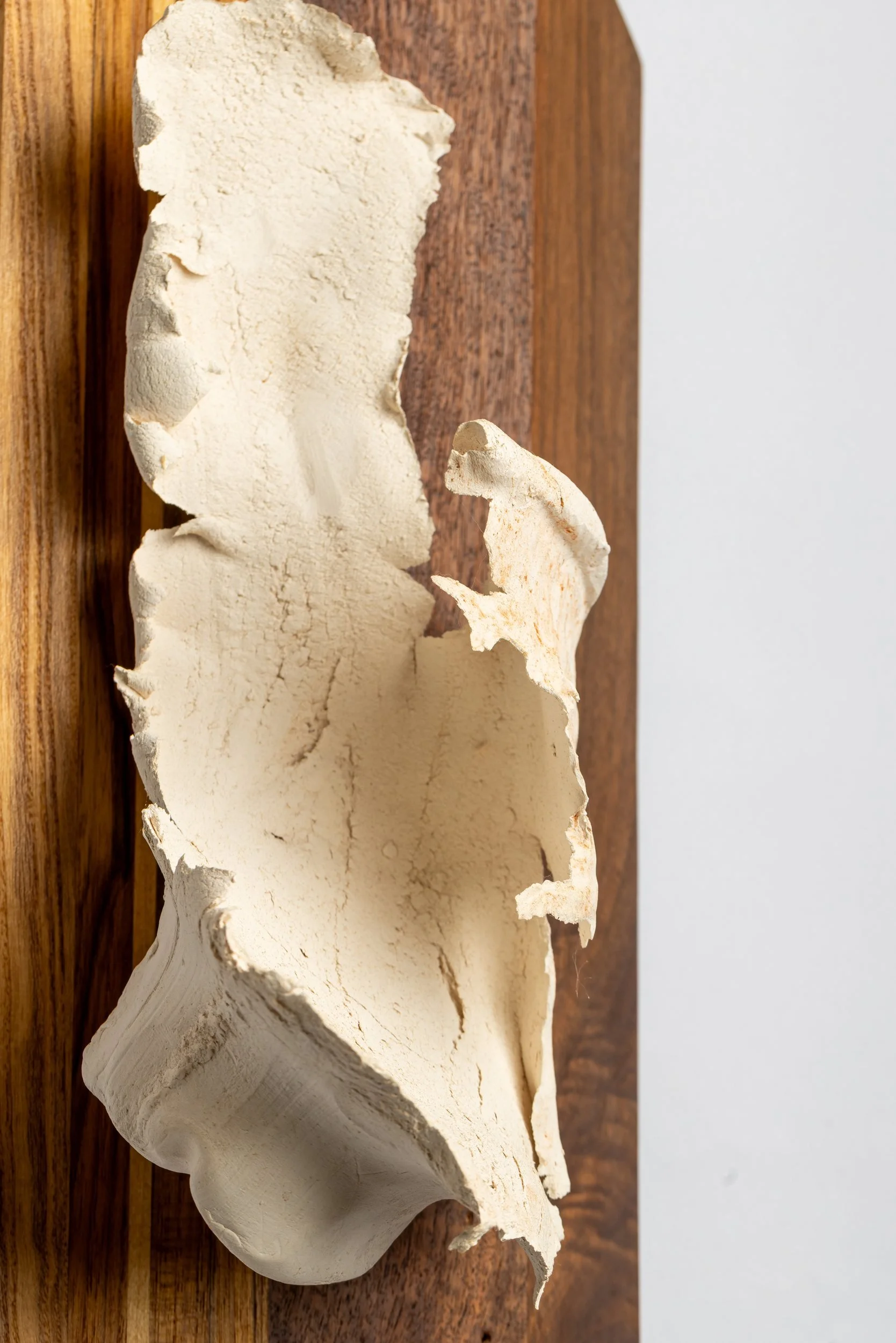 George Clinton (IM005) — detail view 1   ·   Description: George Clinton (IM005), one-of-a-kind ceramic impact study sculpture by Brendan Bishop, Grip Fast Studio, Omaha — detail view 1.
