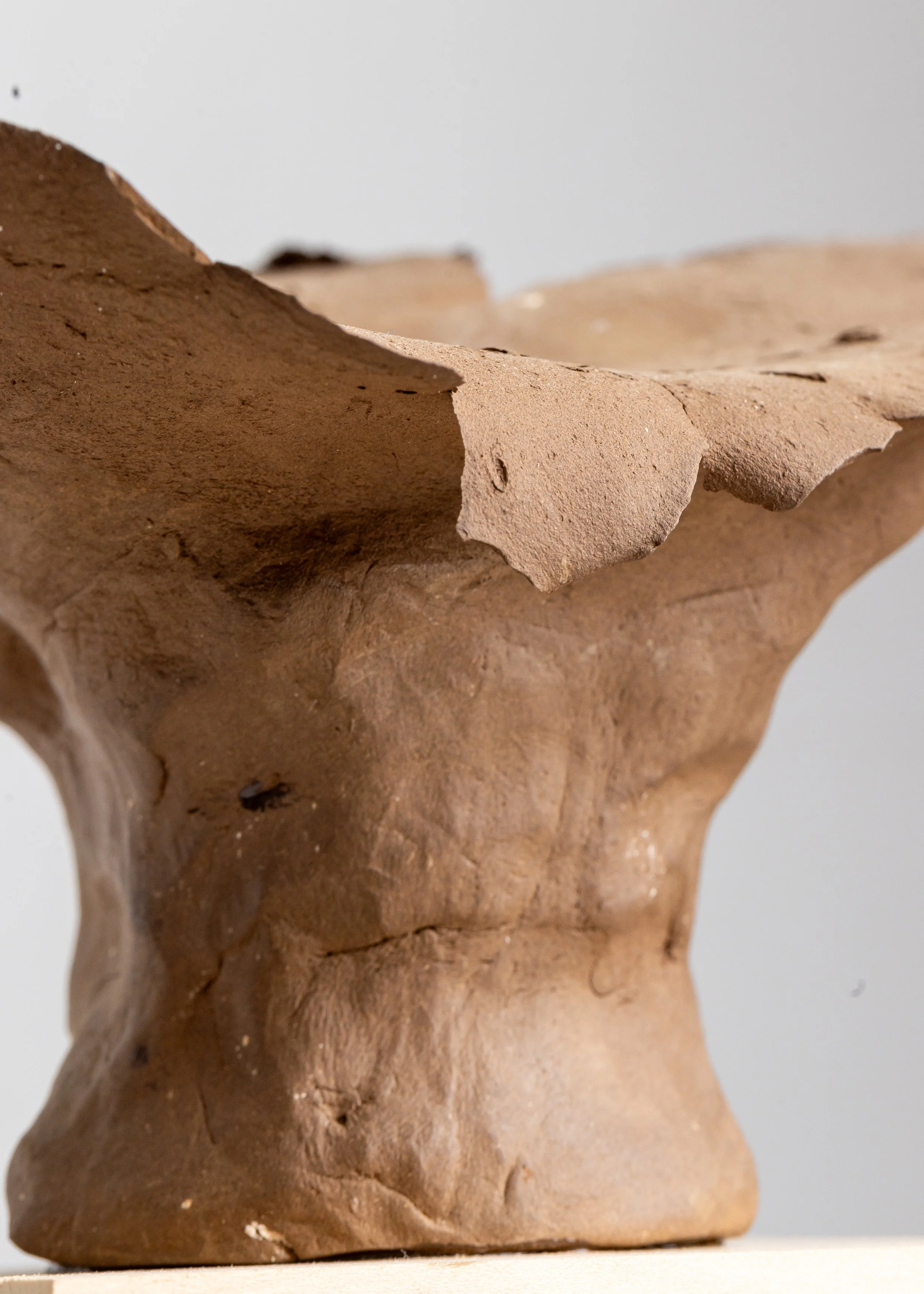 Willy (IM022), one-of-a-kind ceramic impact study sculpture by Brendan Bishop, Grip Fast Studio, Omaha — detail view 1.