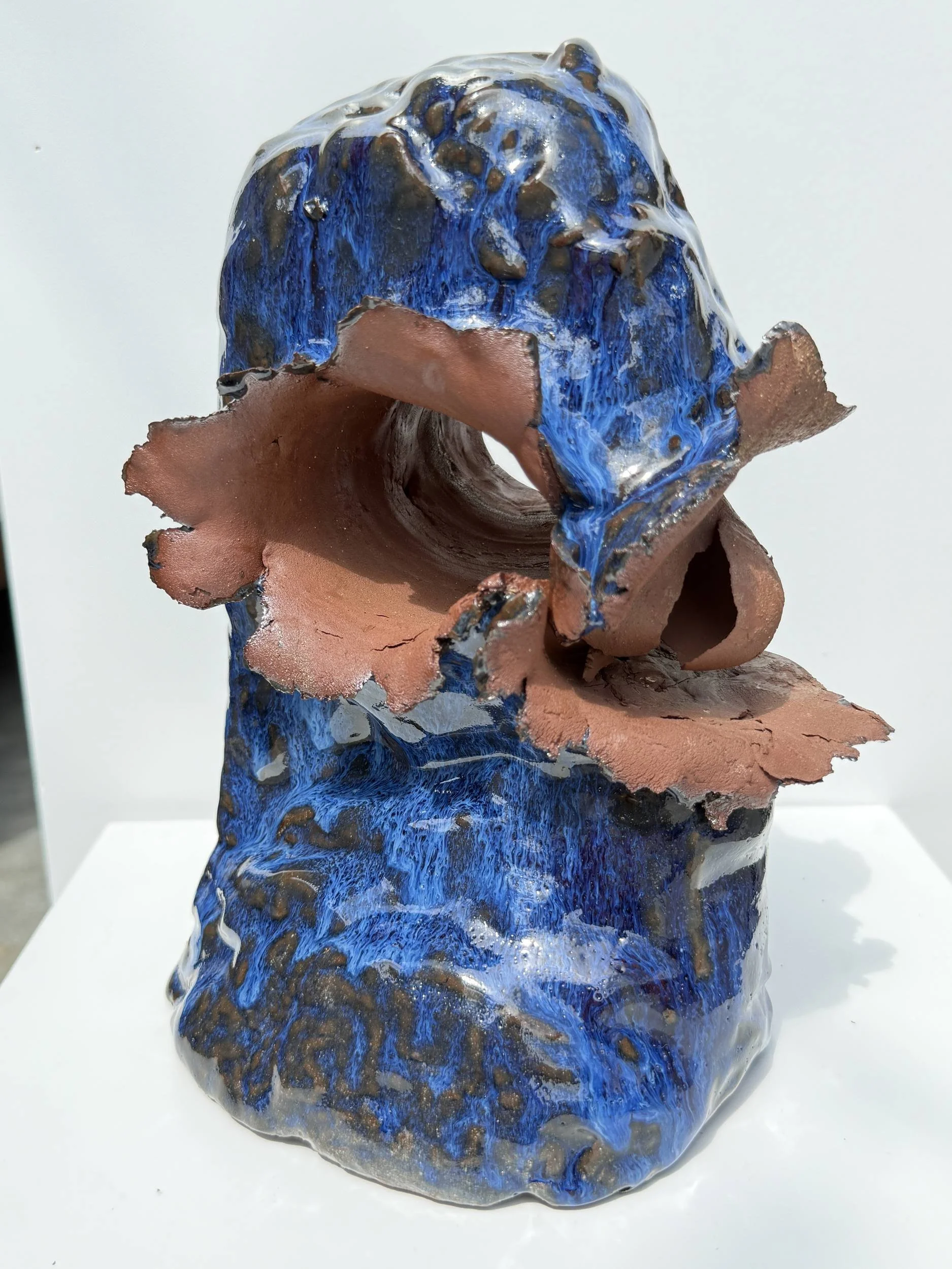 Blue Bird