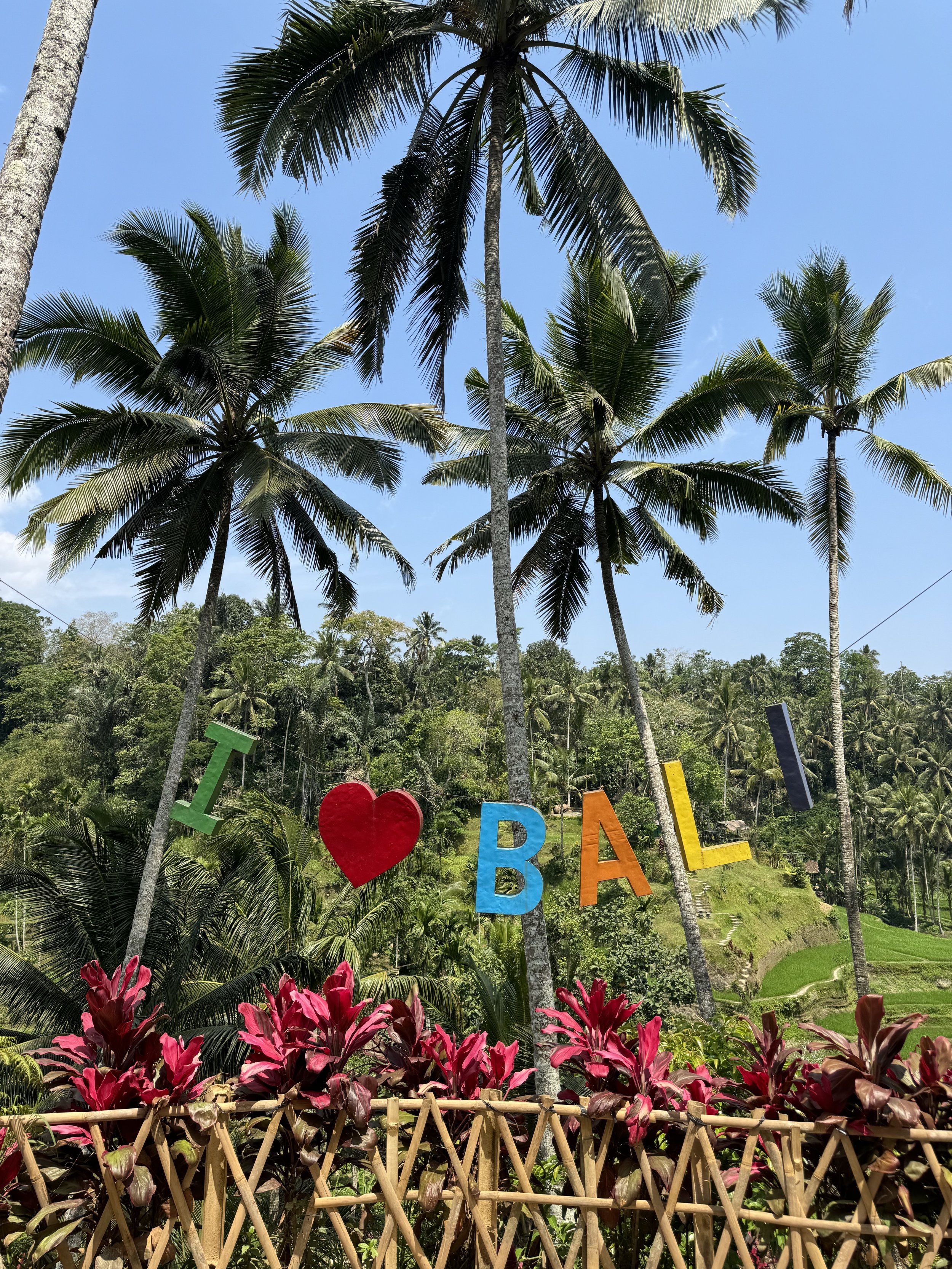 Is Bali Worth Visiting? What No One Tells You Before You Go