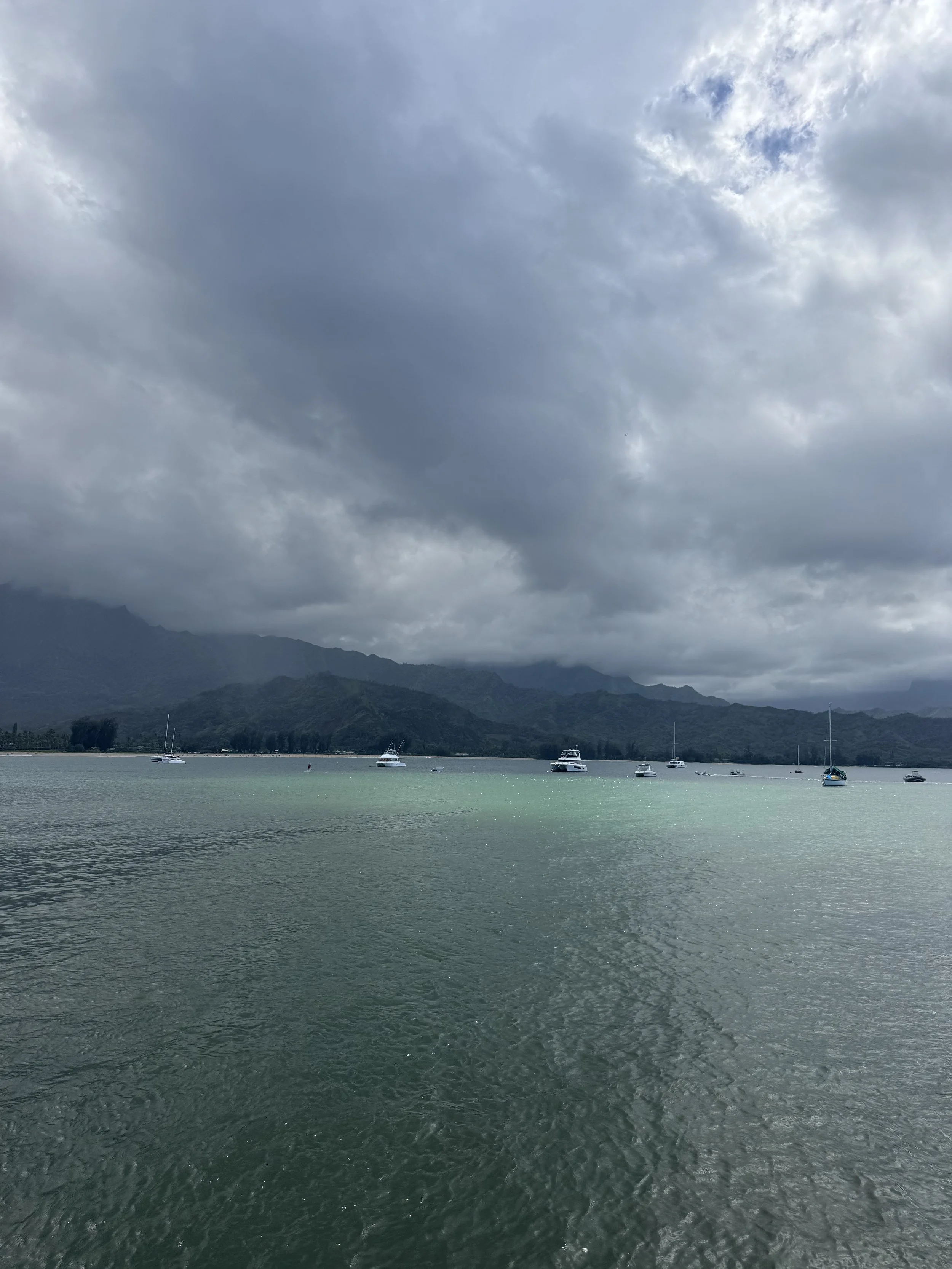 IMG_2372.jpeg