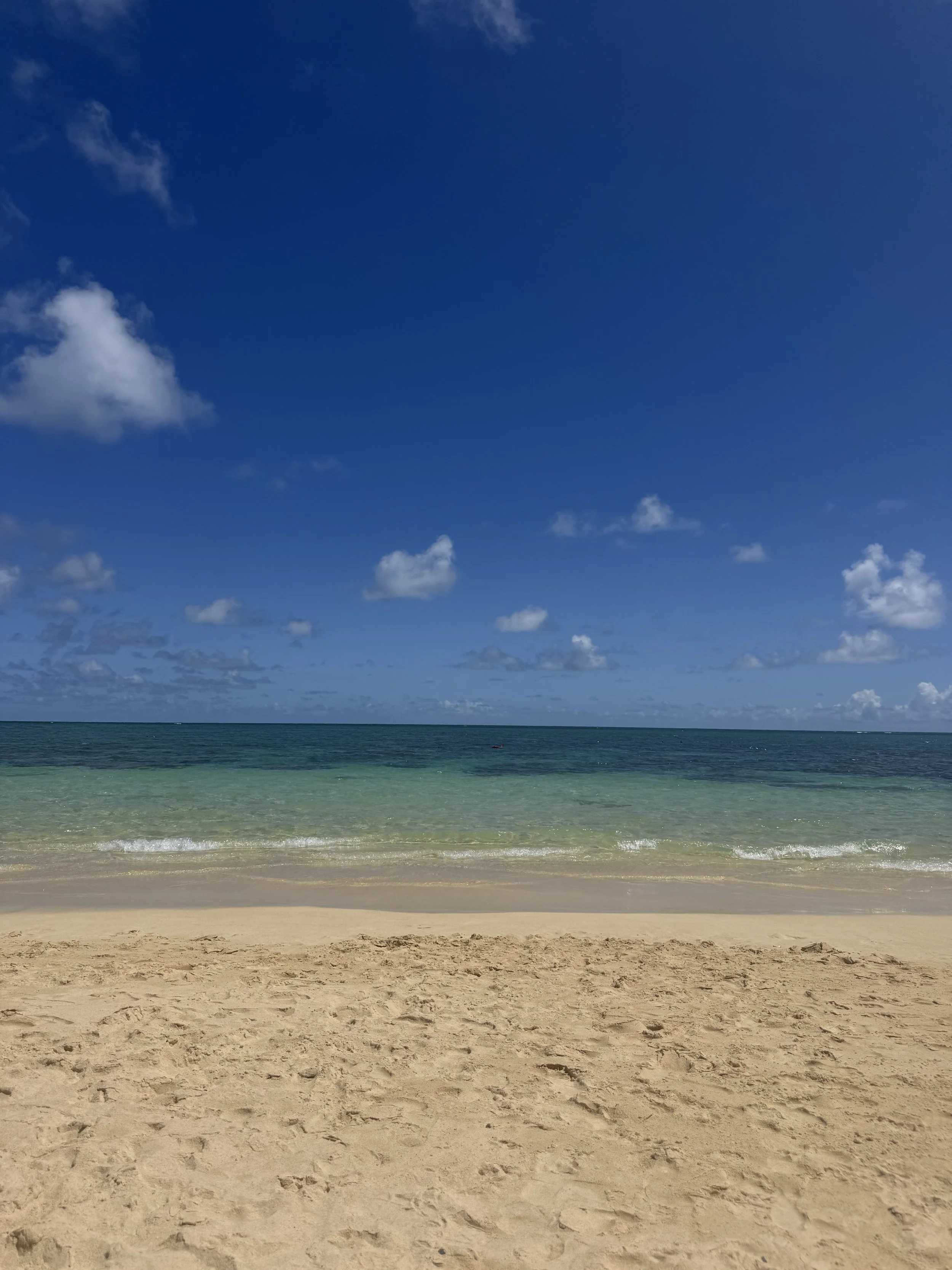IMG_1682.jpeg