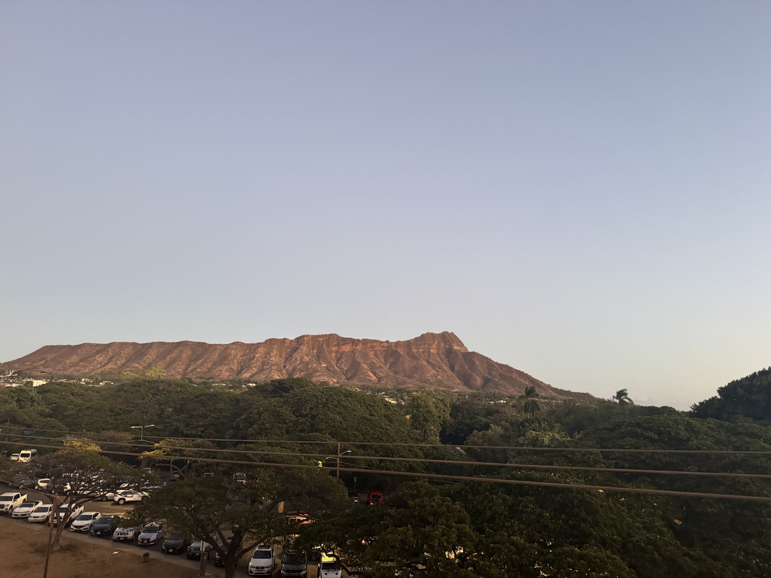 IMG_1774.jpeg