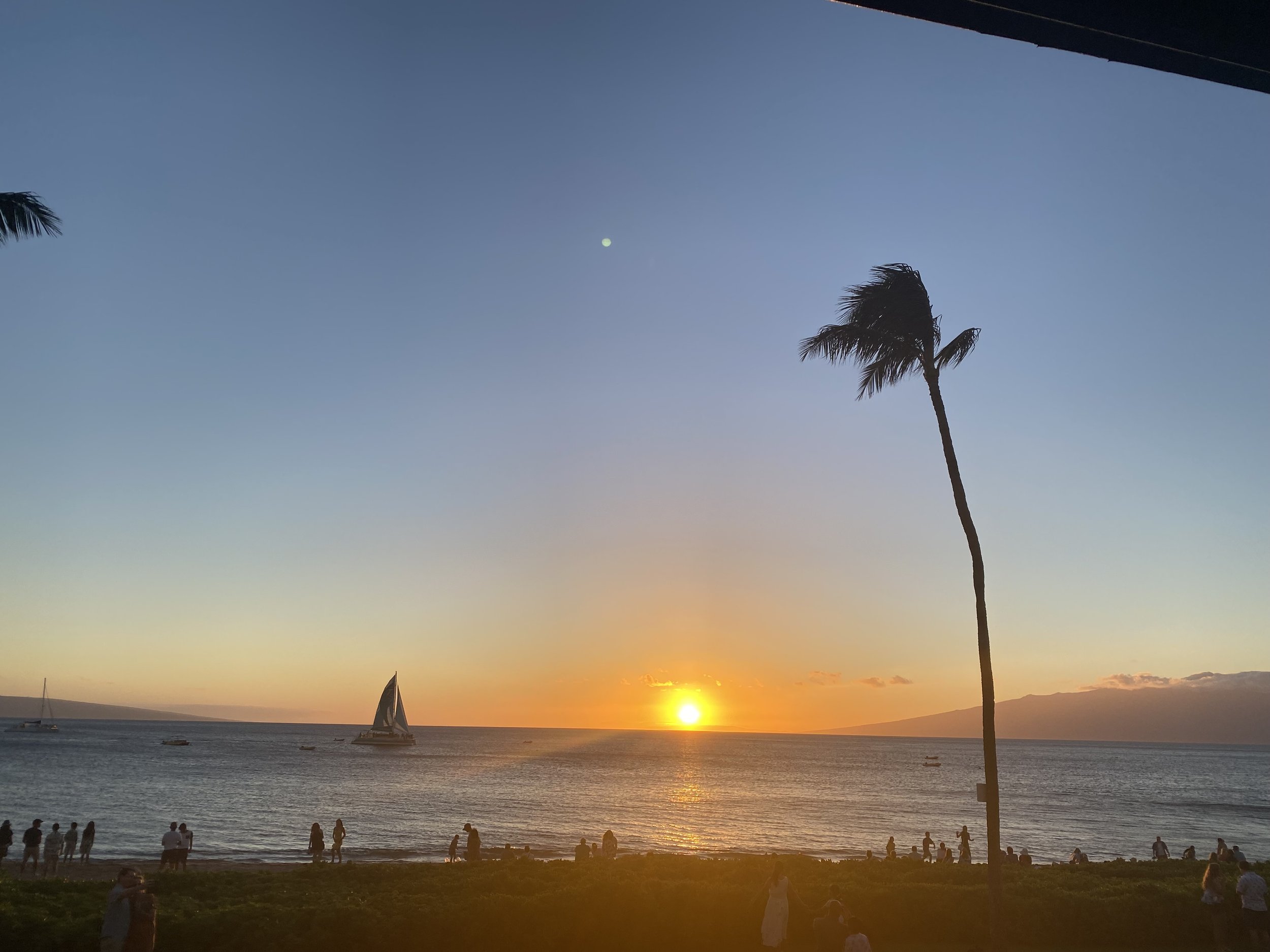 IMG_0214.jpeg