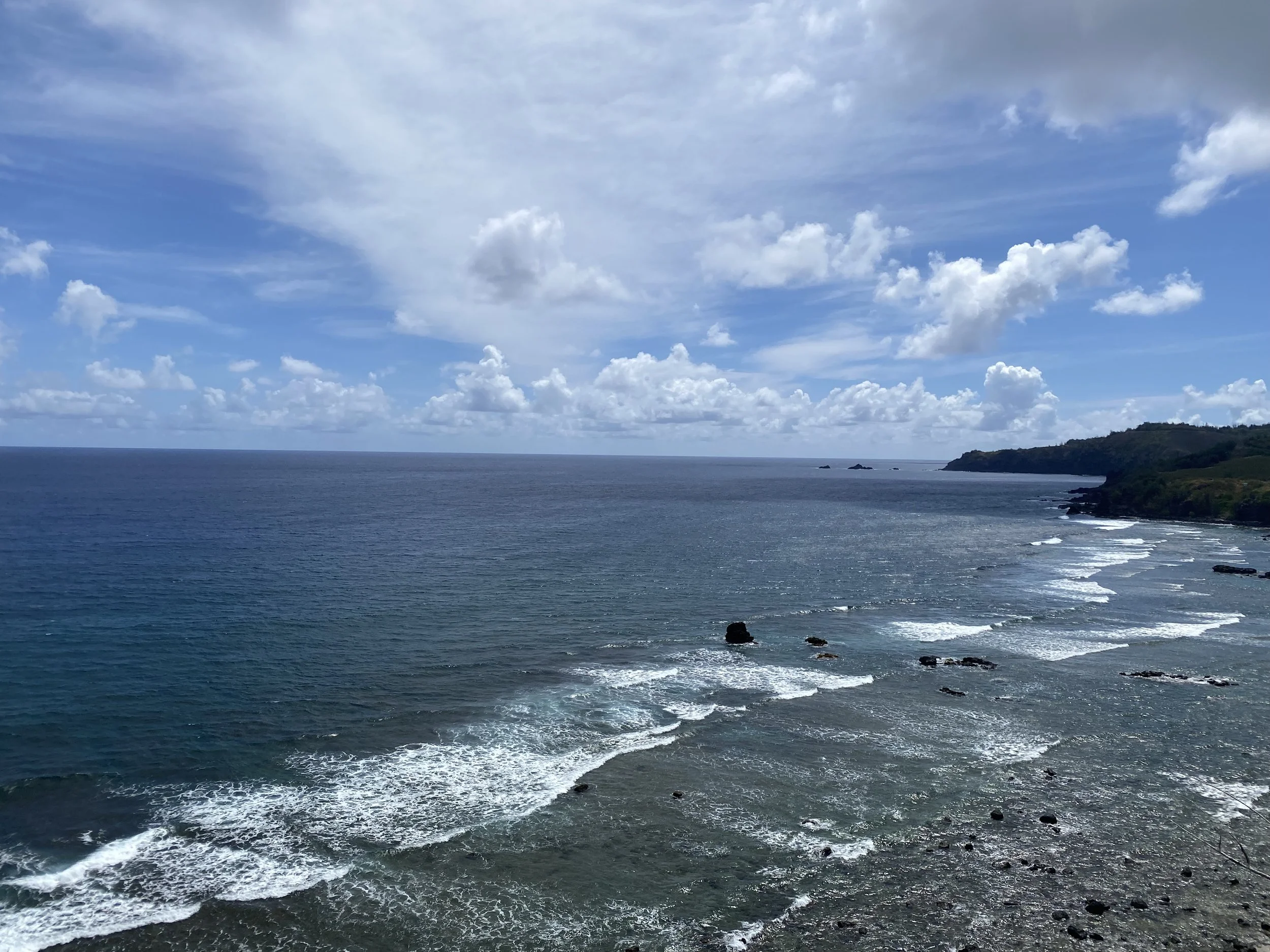 IMG_9518.jpeg