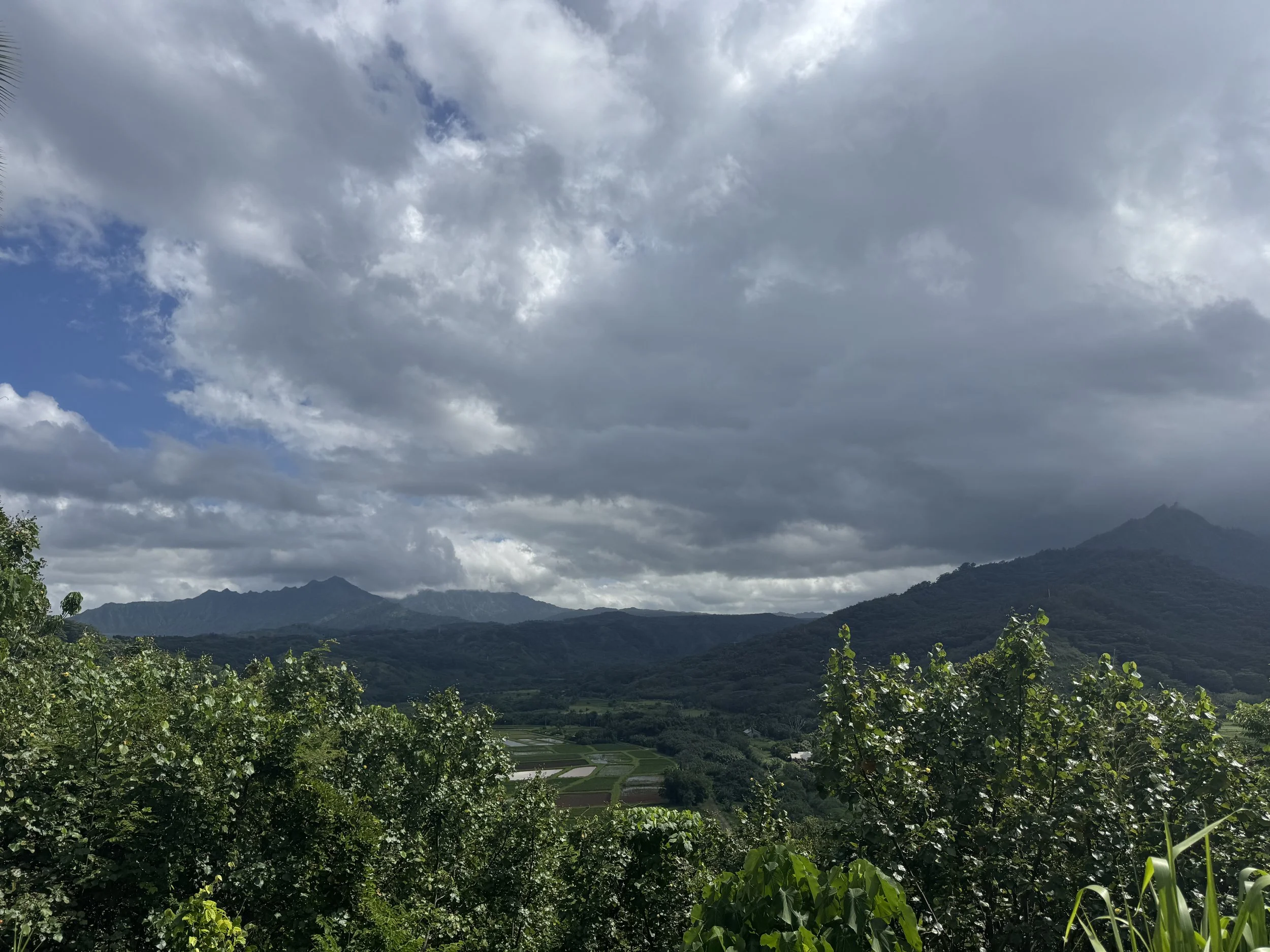 IMG_2381.jpeg