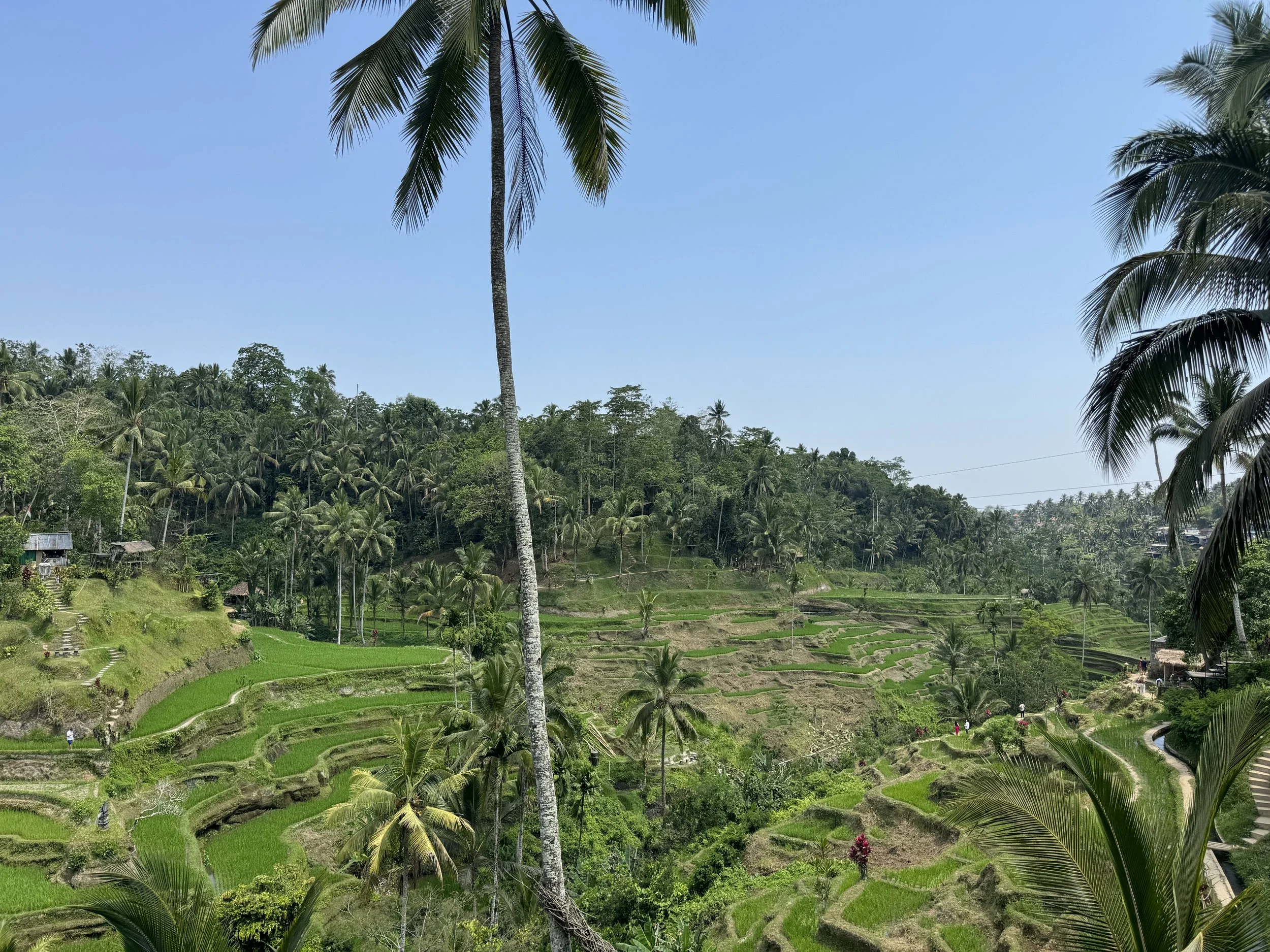 IMG_3070.jpeg