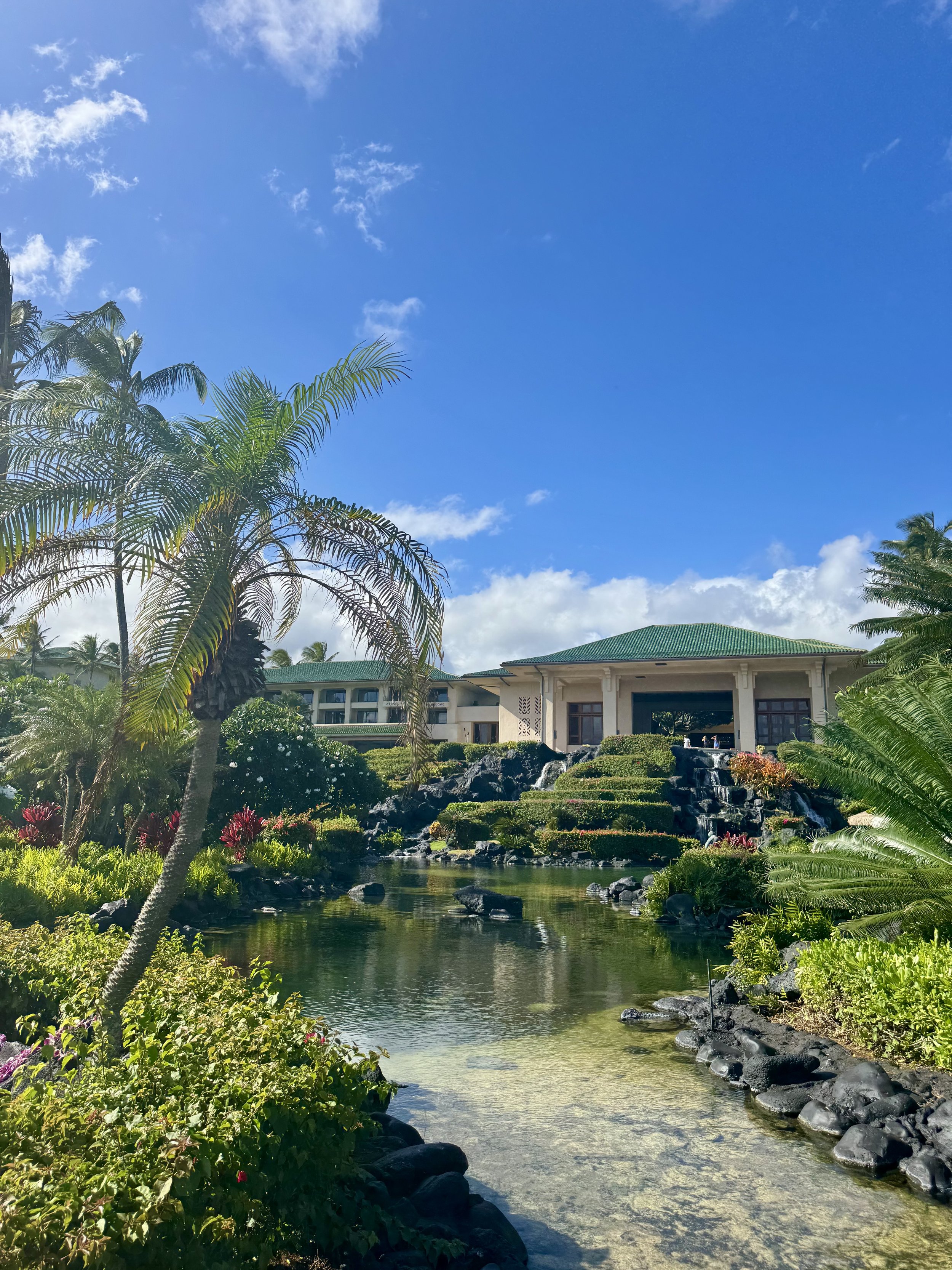 A lush tropical landscape with palm trees, a small pond with rocks, flowering bushes, and a building with a green roof under a bright blue sky with some clouds.