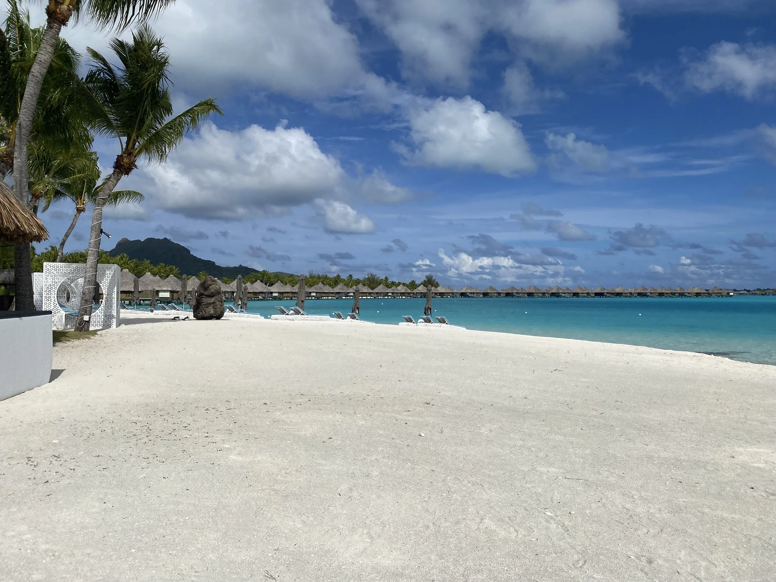 IMG_6968.jpeg