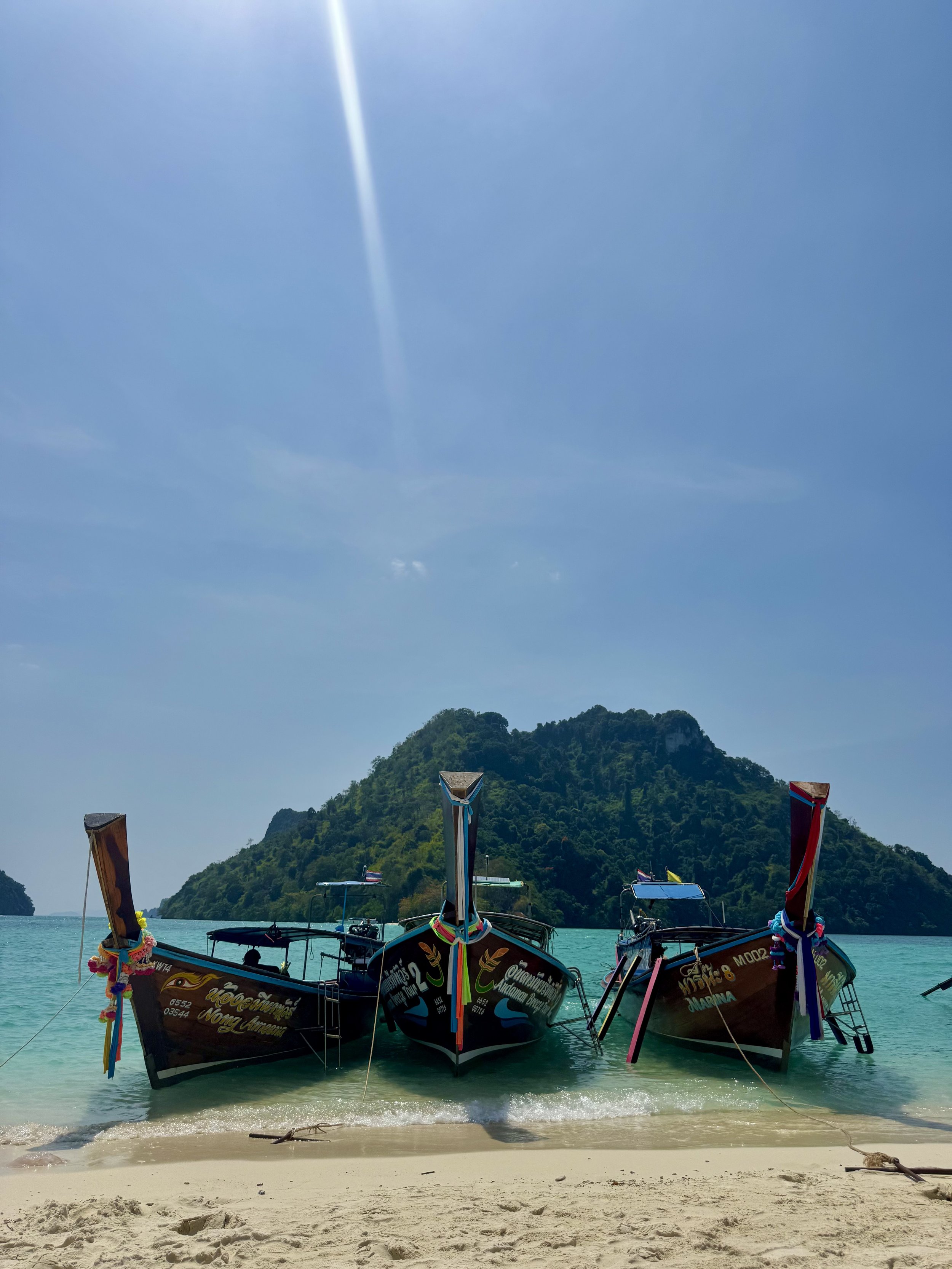 IMG_7941.jpeg