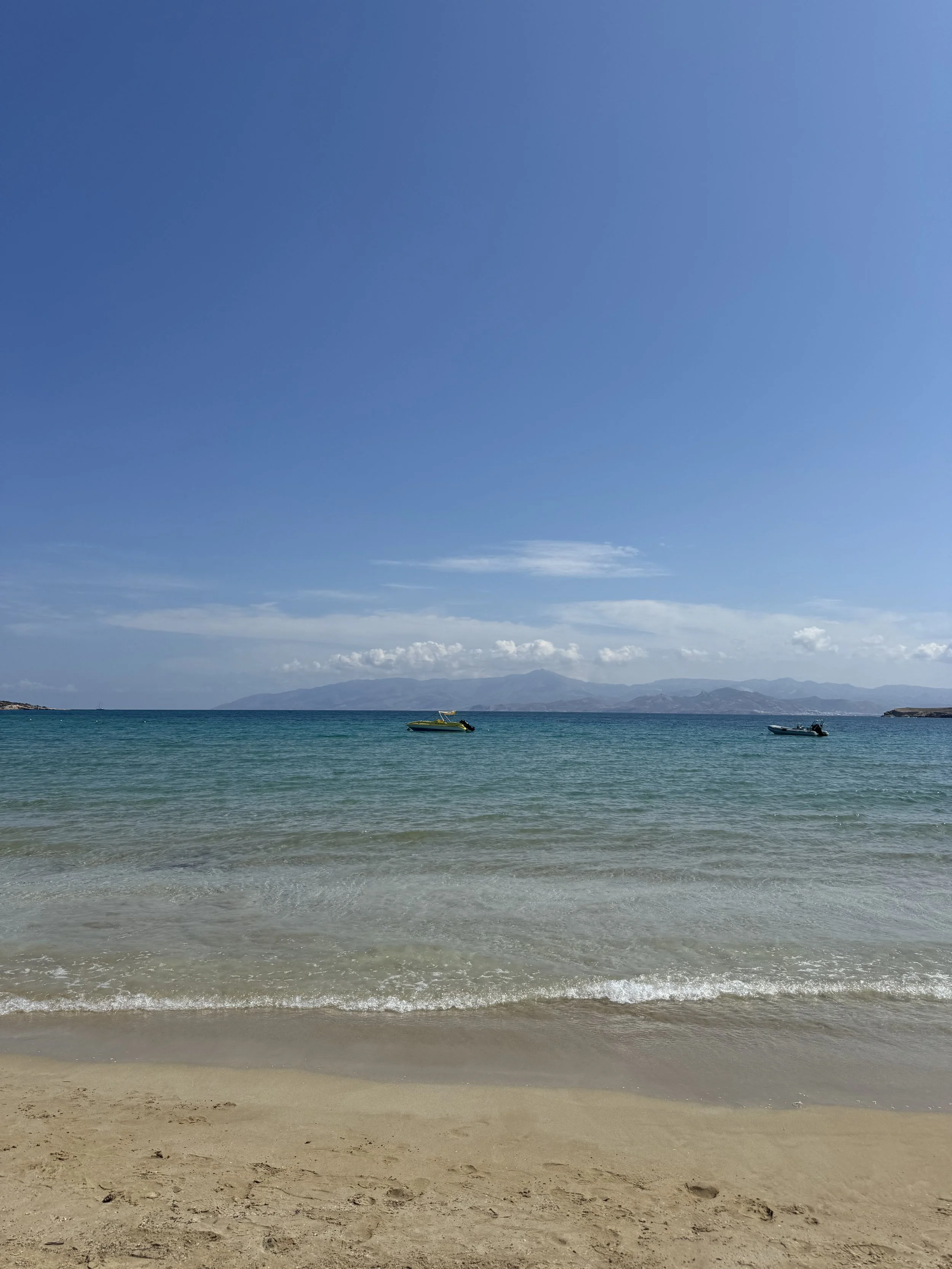 IMG_1841.jpeg