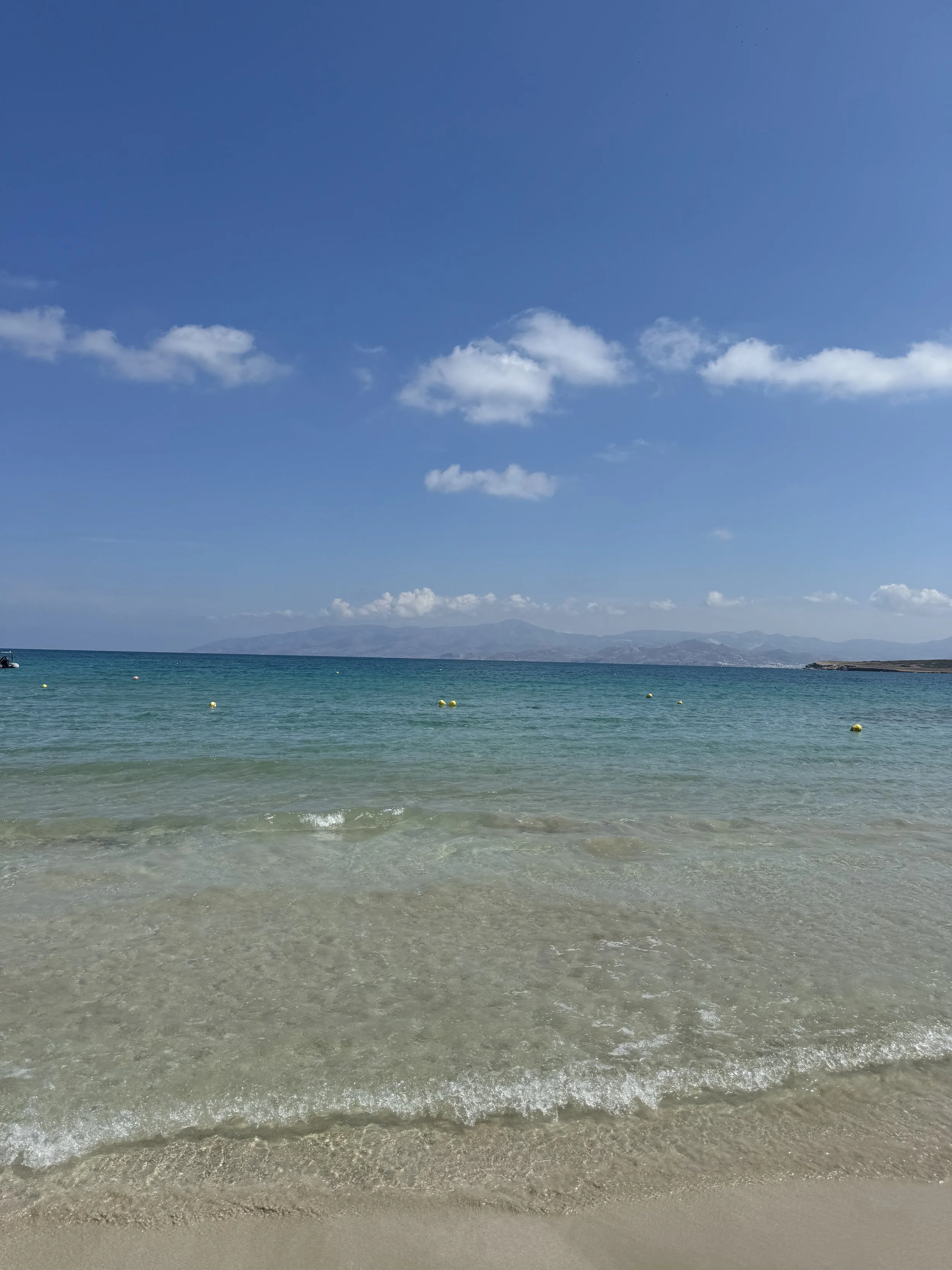 IMG_1845.jpeg
