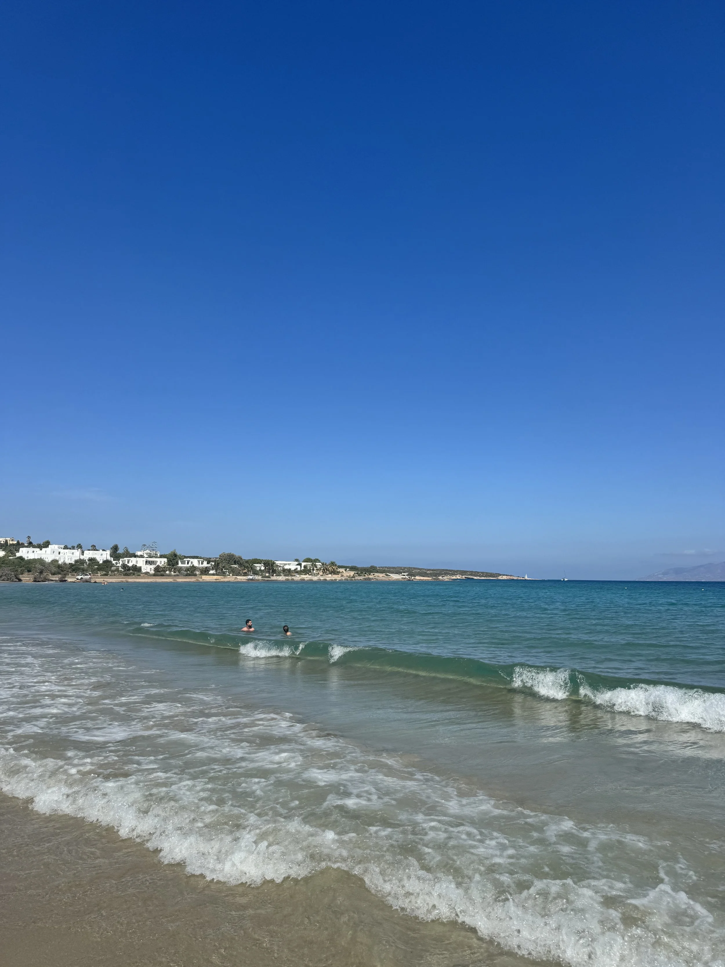 IMG_1929.jpeg
