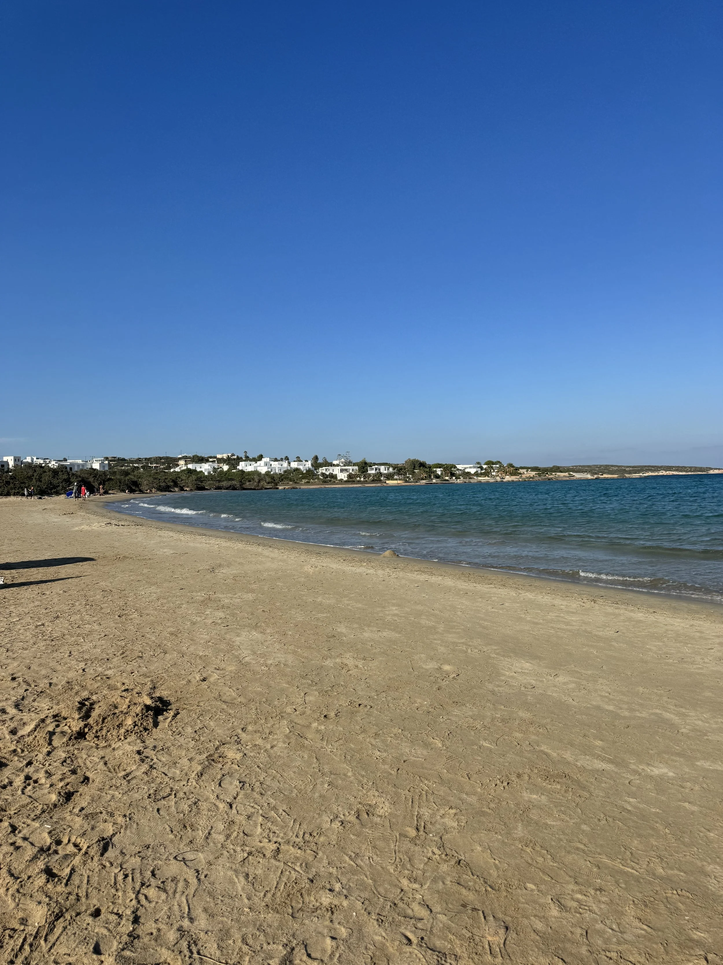 IMG_1964.jpeg