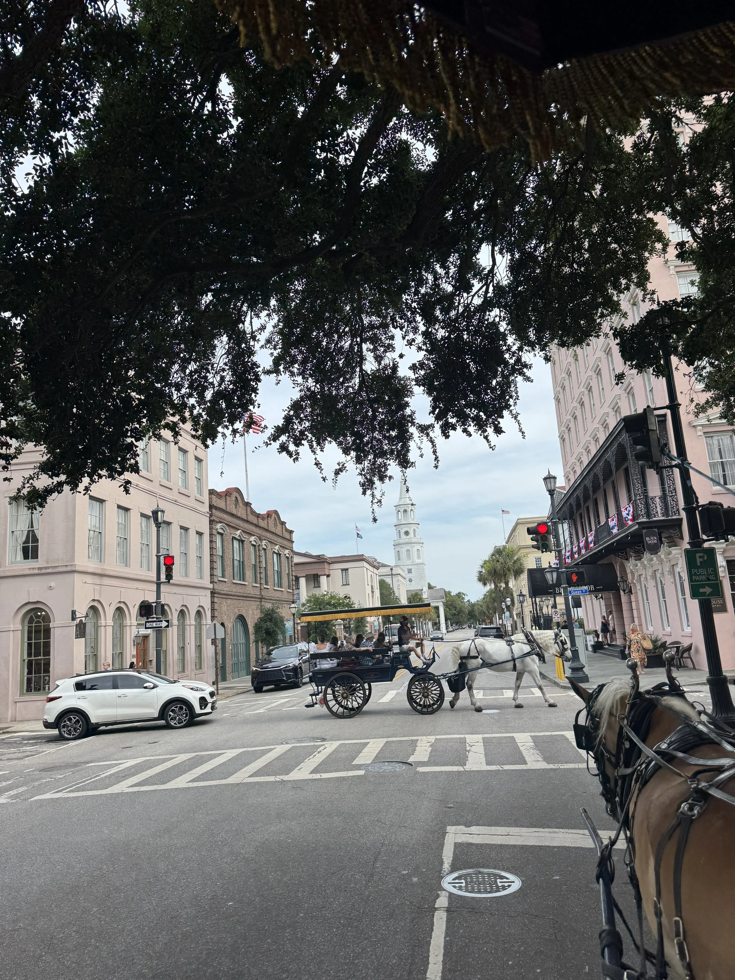 IMG_4127.jpeg