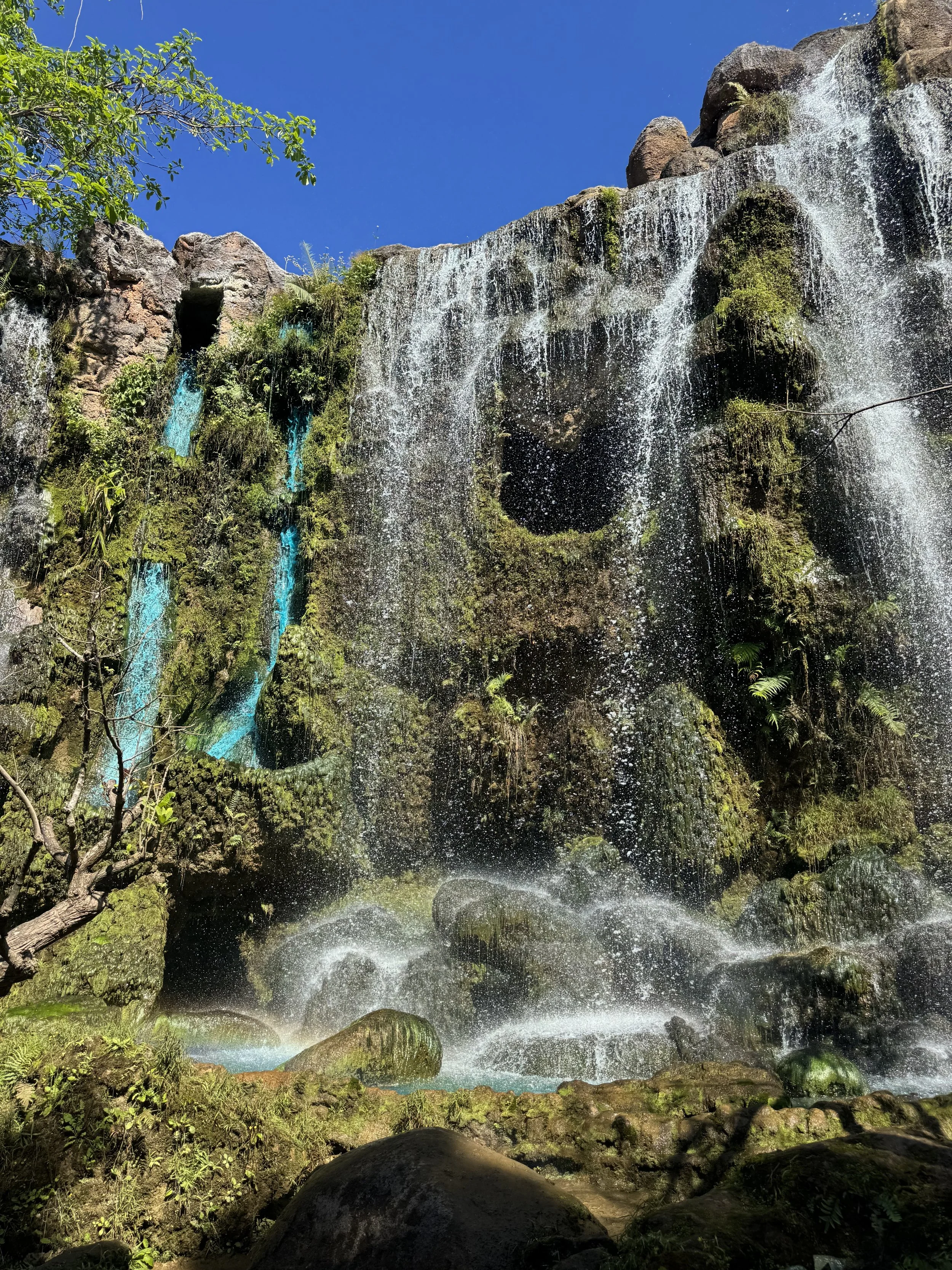 IMG_6782.jpeg