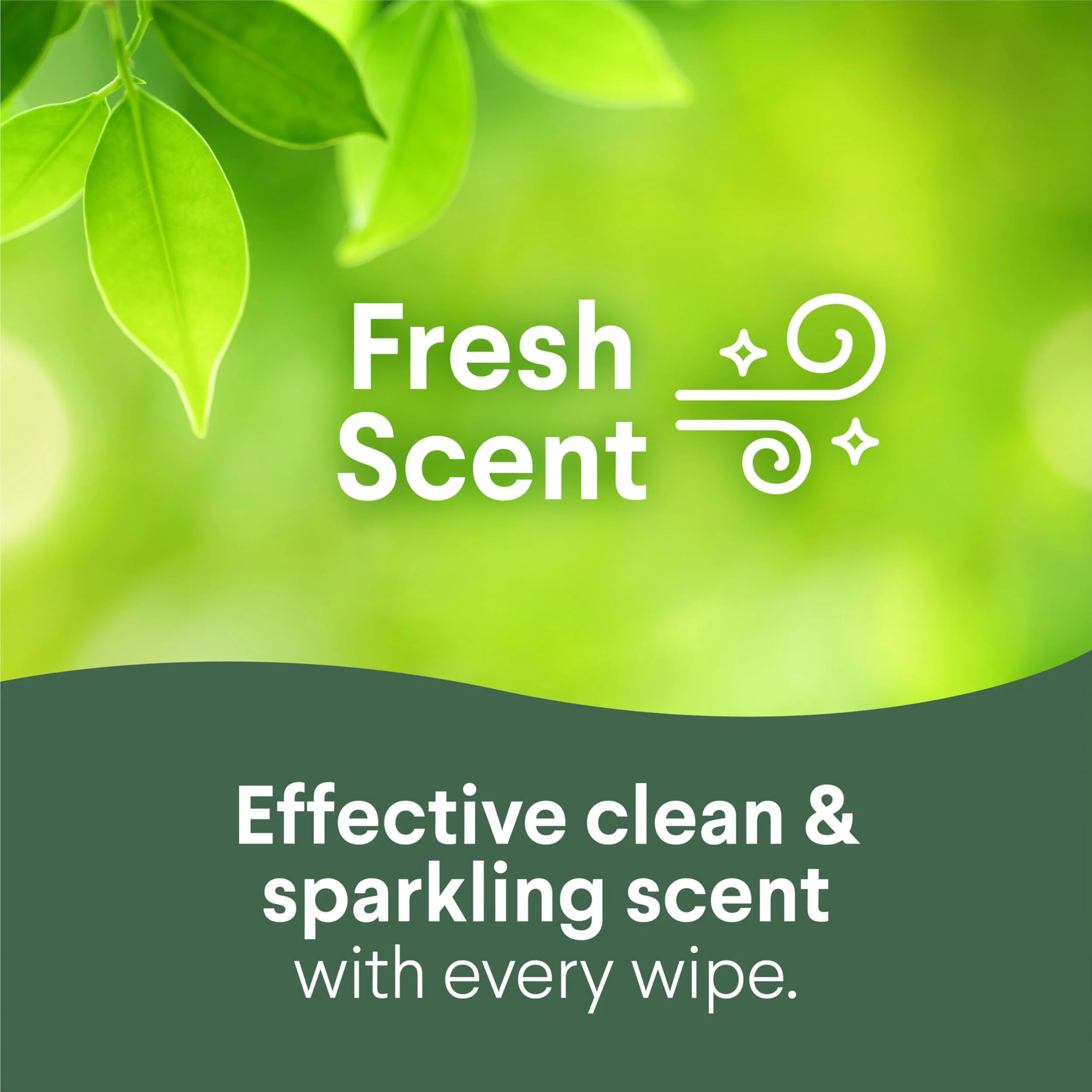product-image-5 (1).jpg