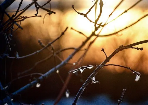 Forgiveness isn't automatic