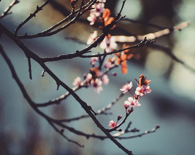 All change is rooted in permanence