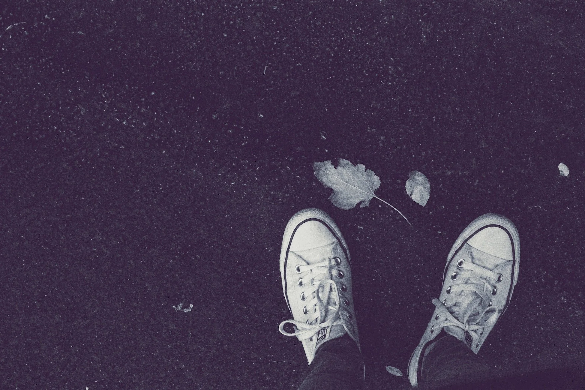 To Fill The Earth | Step out onto new ground