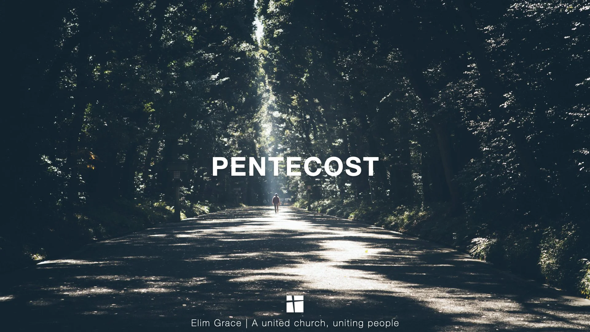 To Fill The Earth | Pentecost