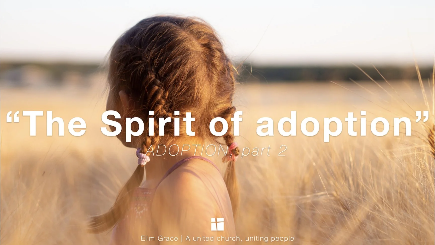 Adoption Part Two (The Spirit of Adoption)