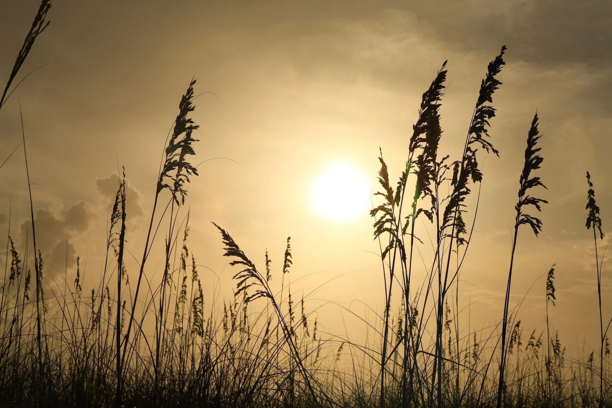 The Grieving of the Holy Spirit