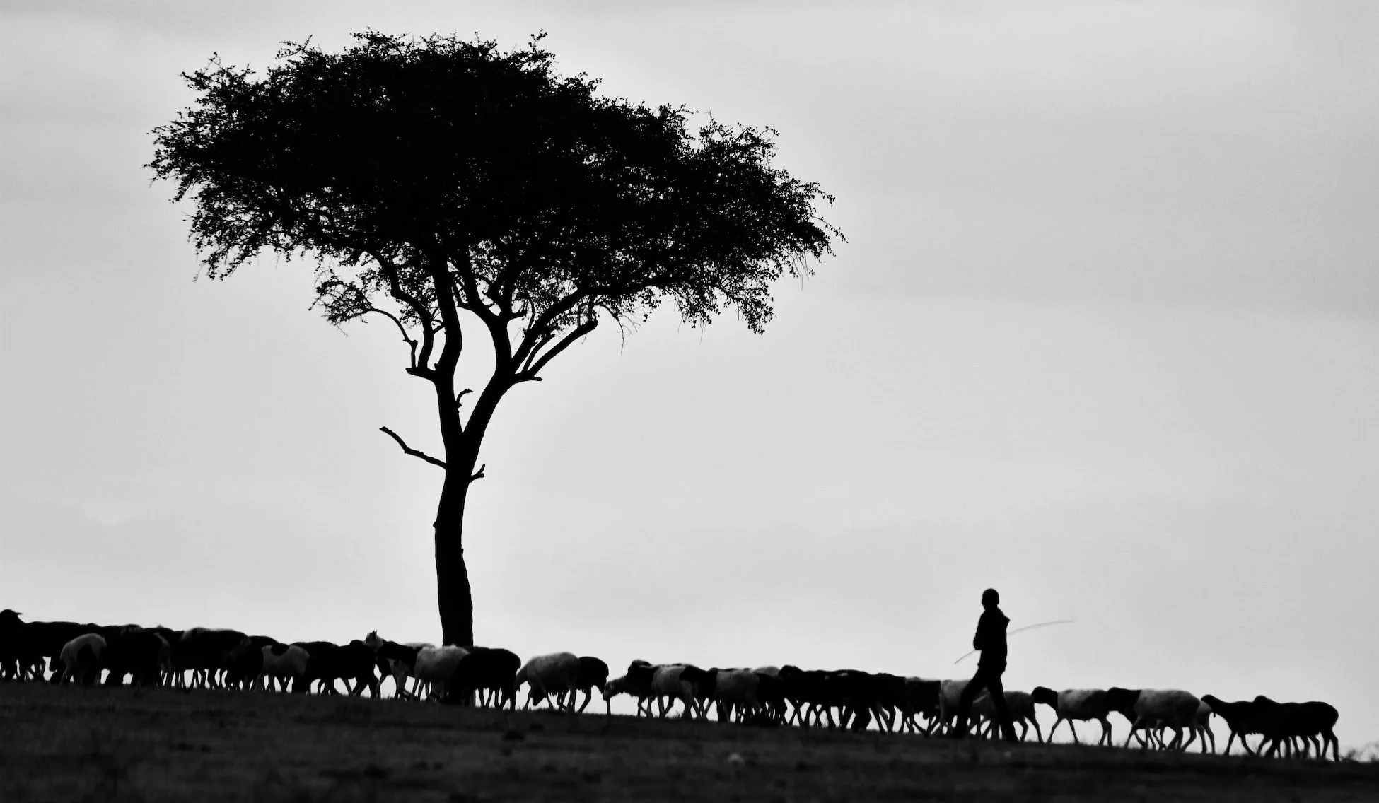 Revival, Fasting, and Prayer | Shepherding the Terms