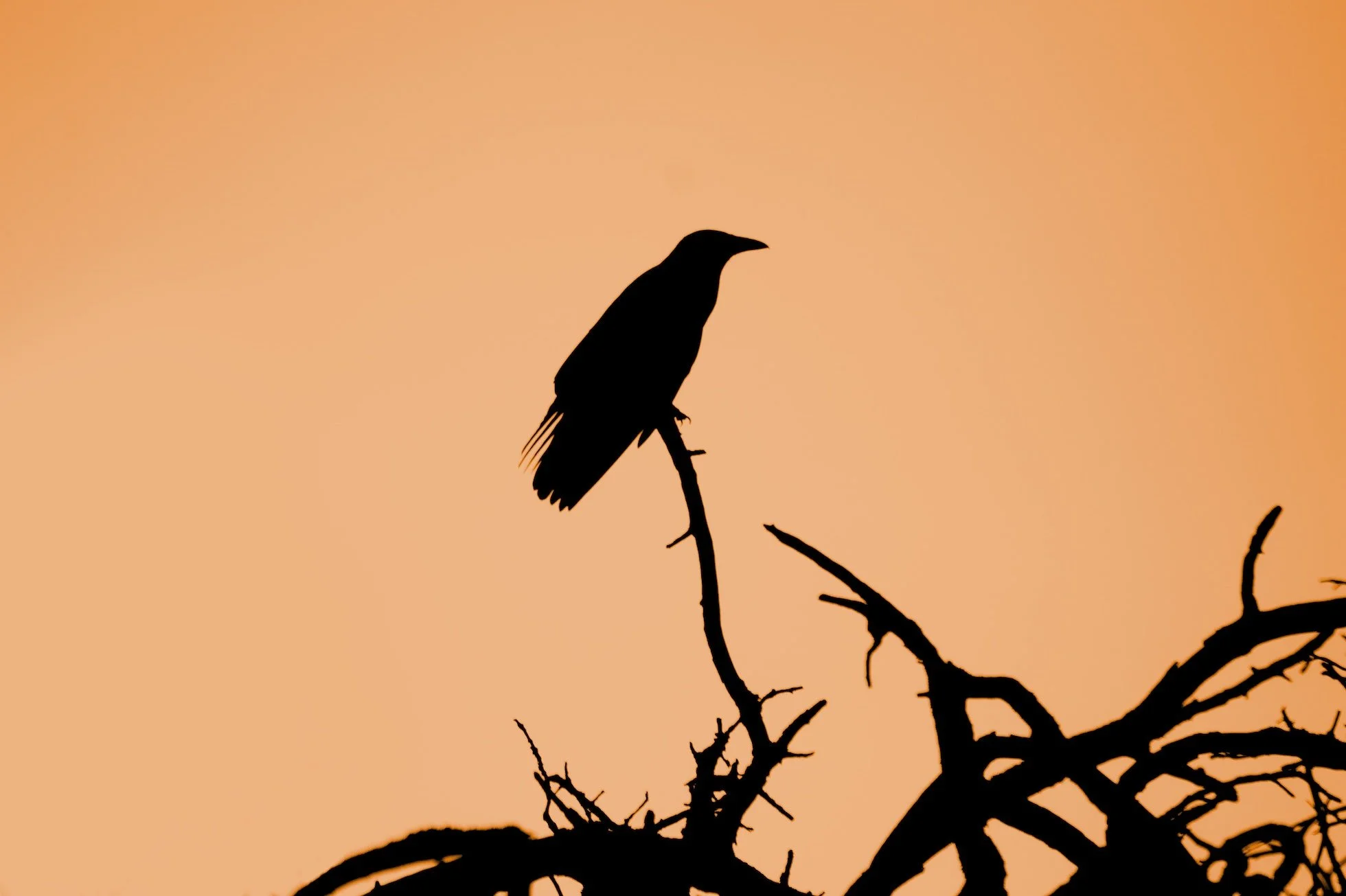 When the Spirit Comes |  Part III
