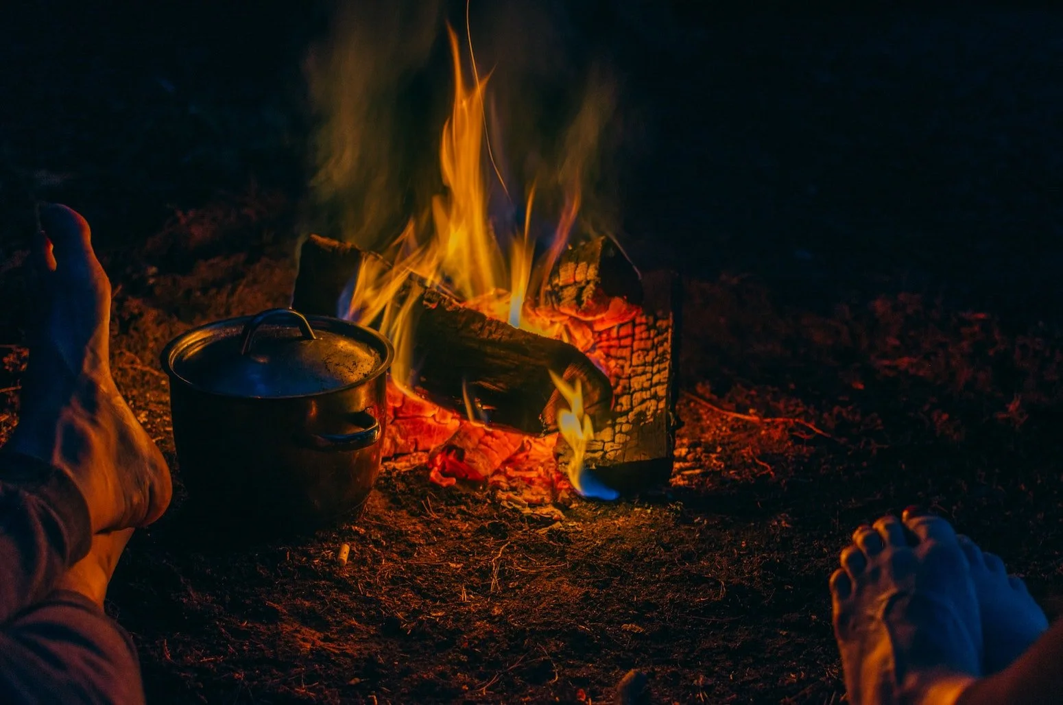 Putting Down Roots | Or Stone Soup