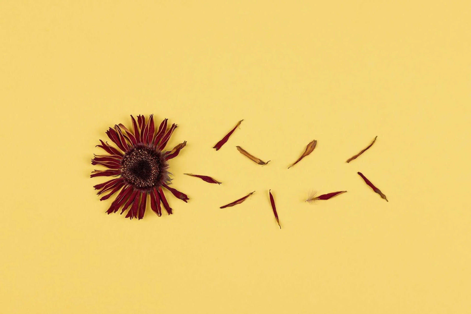 Repentance | The Pain of Sin and the Power of God in Forgiveness
