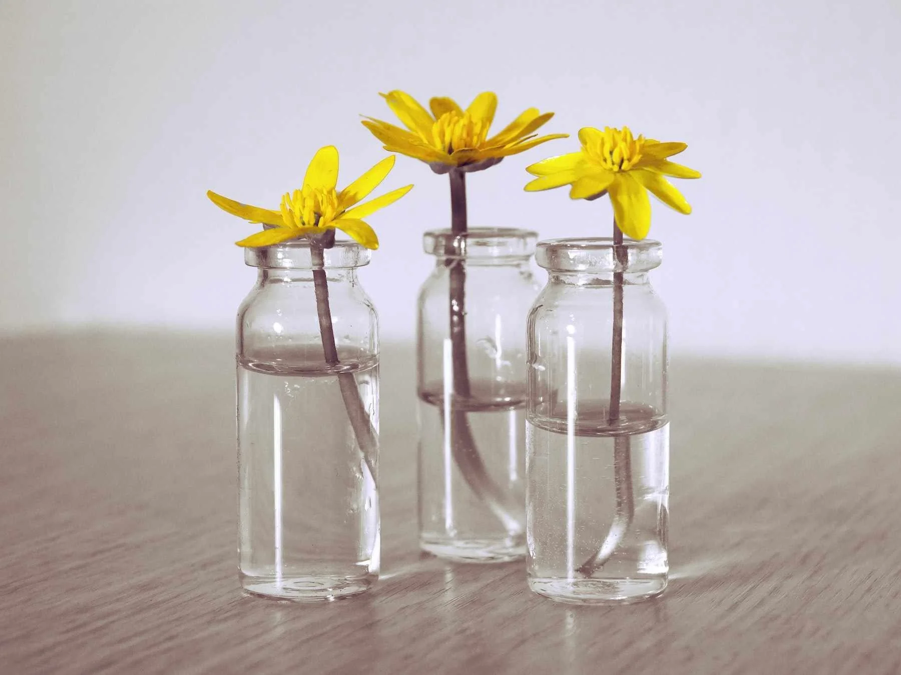 Rejoice Always | Begin Where You Are