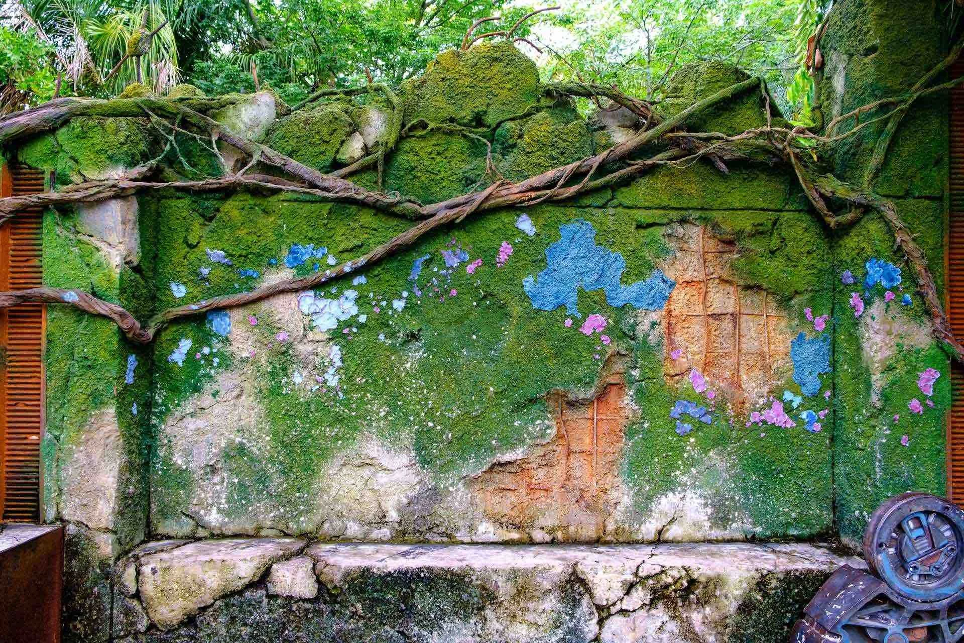 Let's Grow || The Trellis and The Vine