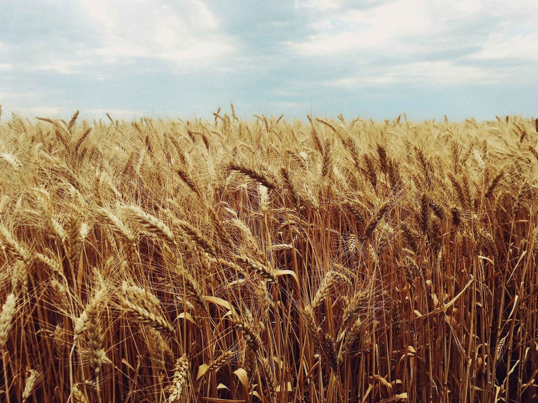 Church growth should make us uncomfortable
