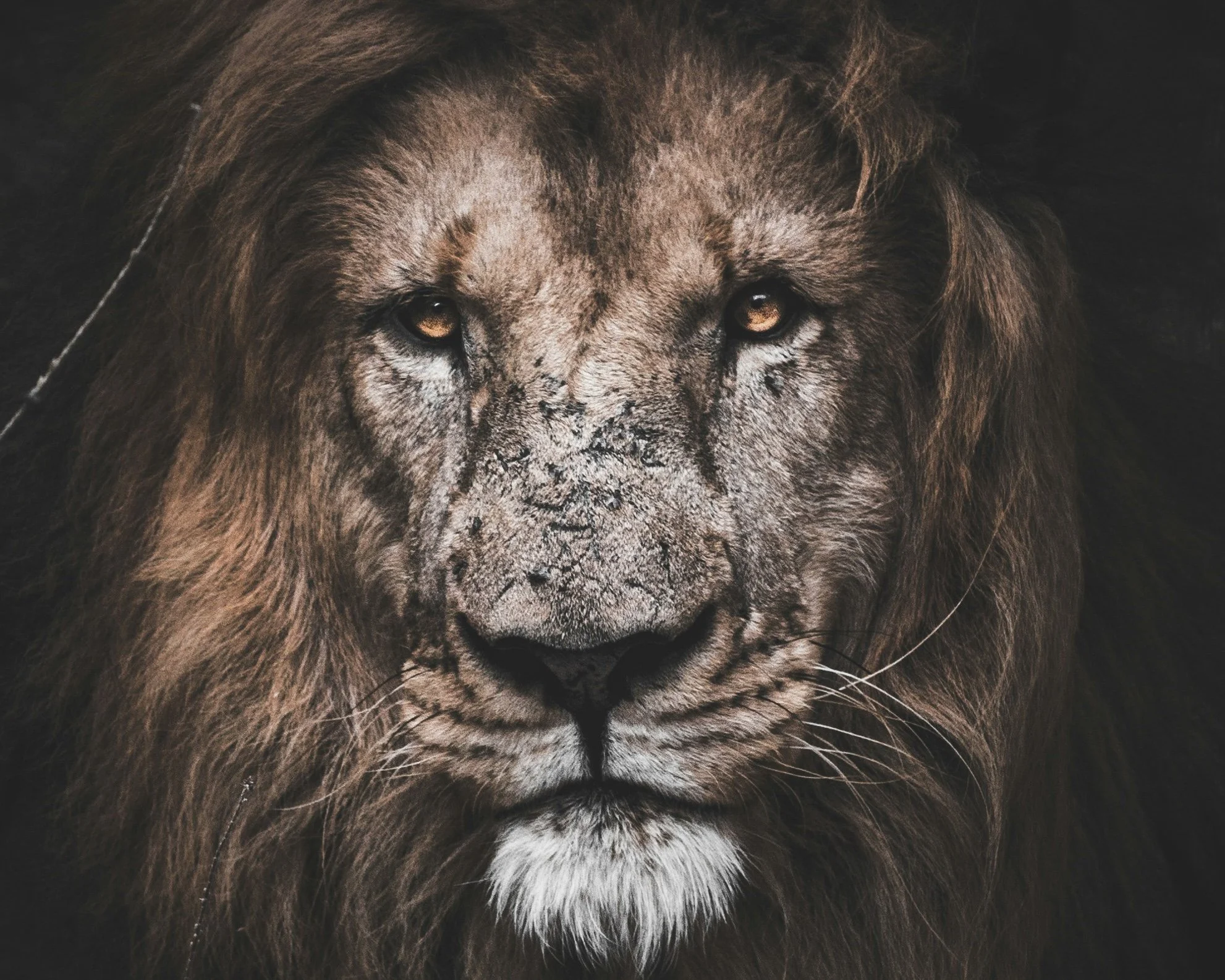 Our Christian outrage (A pastoral warning)