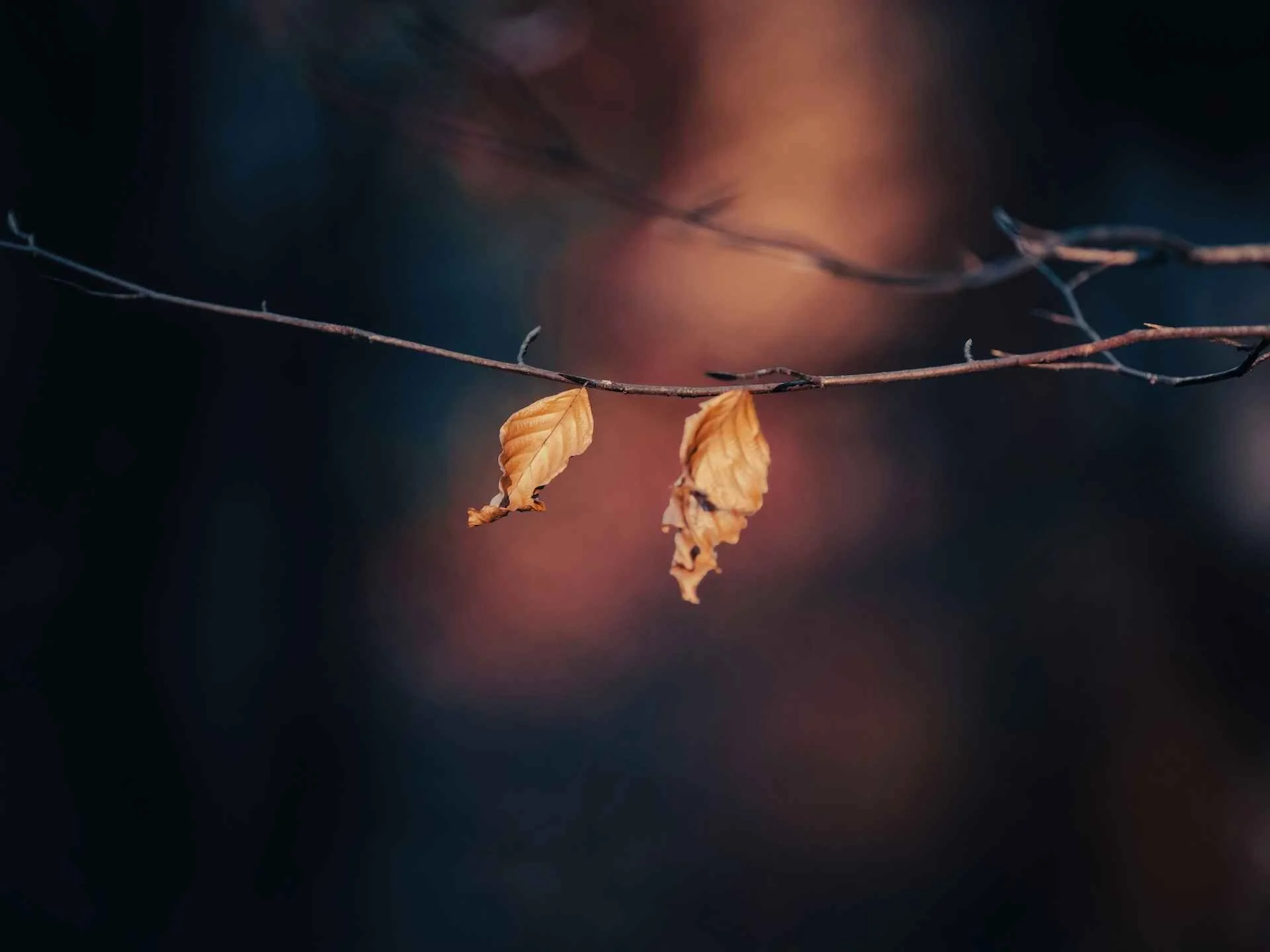 He Loves You To Life // What the Resurrection of Jesus Means For You Right Now