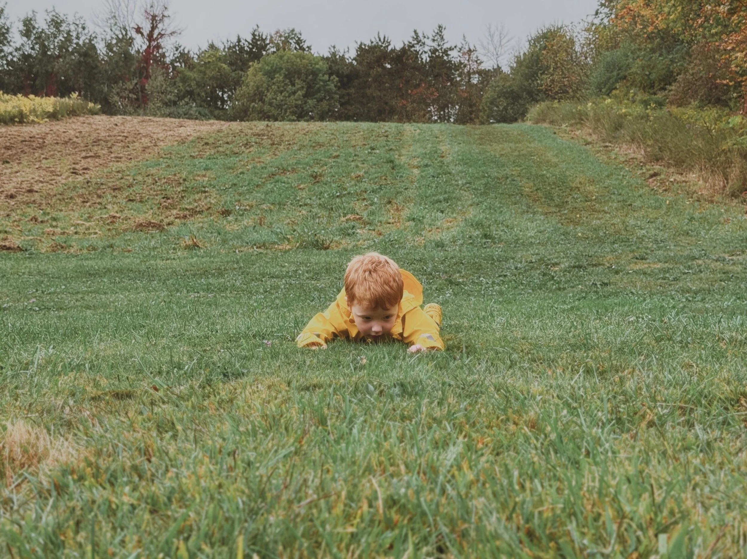 Do you rest? Three necessary components